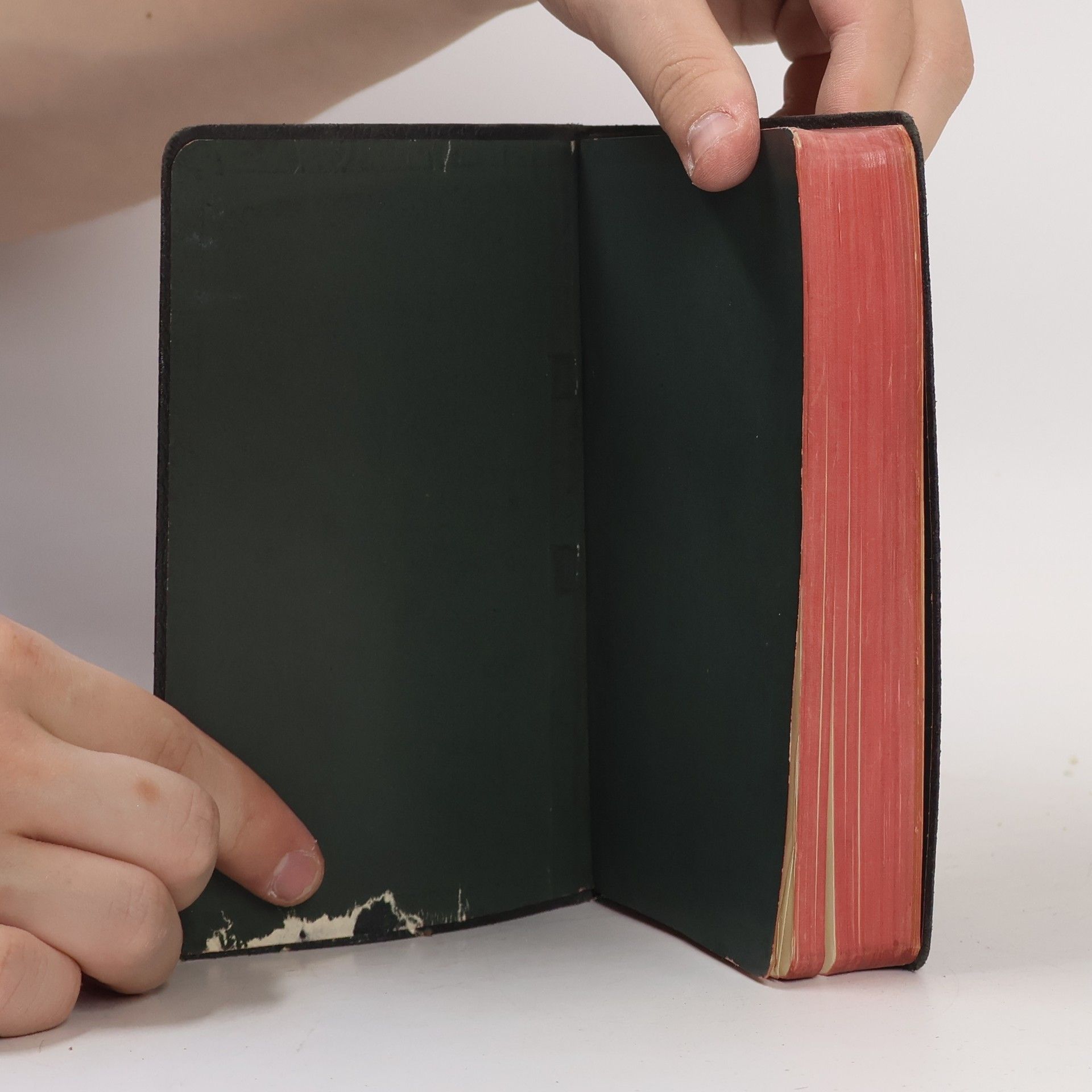 Various authors Biblí svatá aneb Všecka svatá písma Starého i Nového zákona