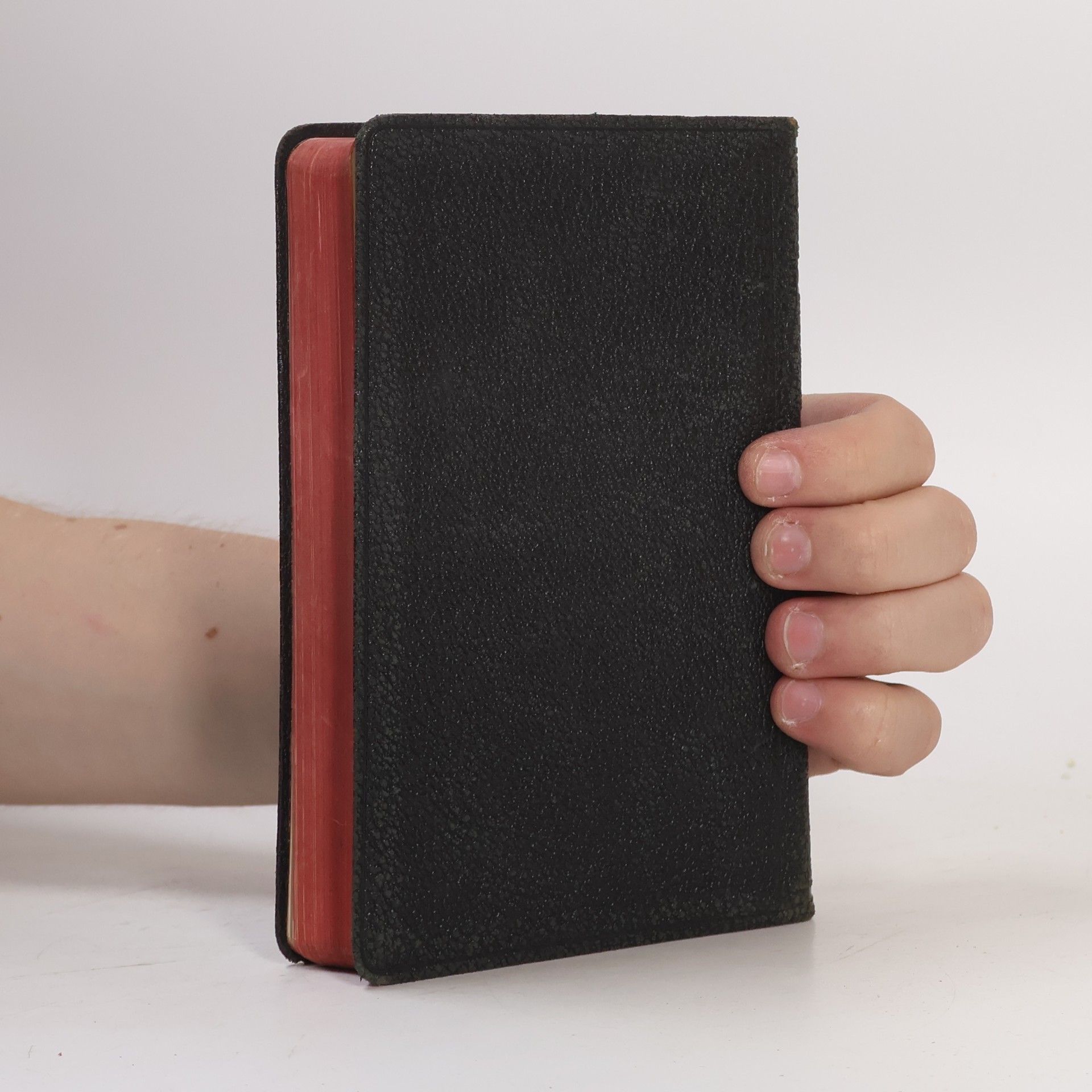 Various authors Biblí svatá aneb Všecka svatá písma Starého i Nového zákona