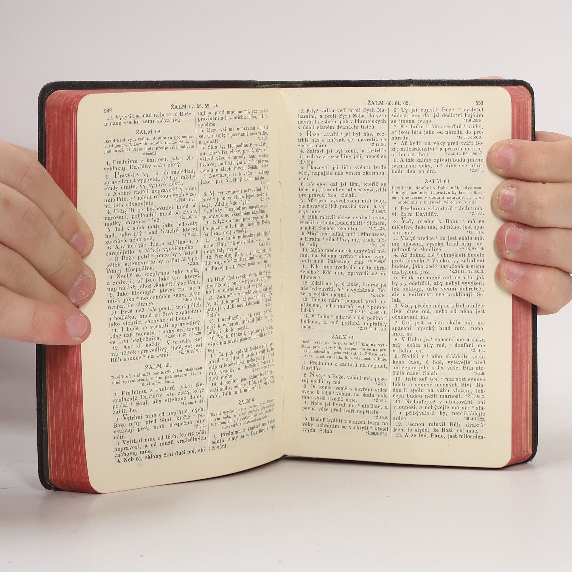 Various authors Biblí svatá aneb Všecka svatá písma Starého i Nového zákona