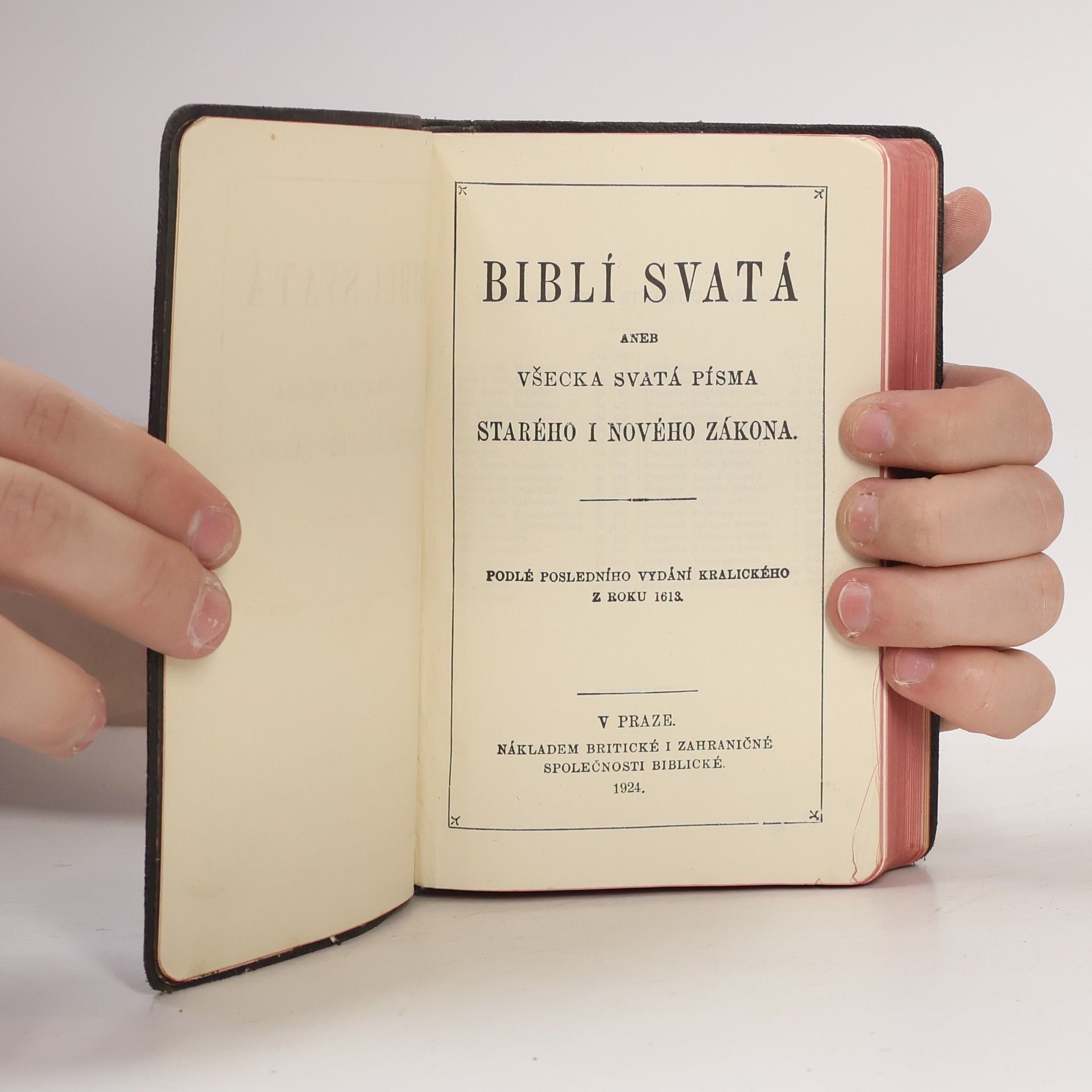 Various authors Biblí svatá aneb Všecka svatá písma Starého i Nového zákona