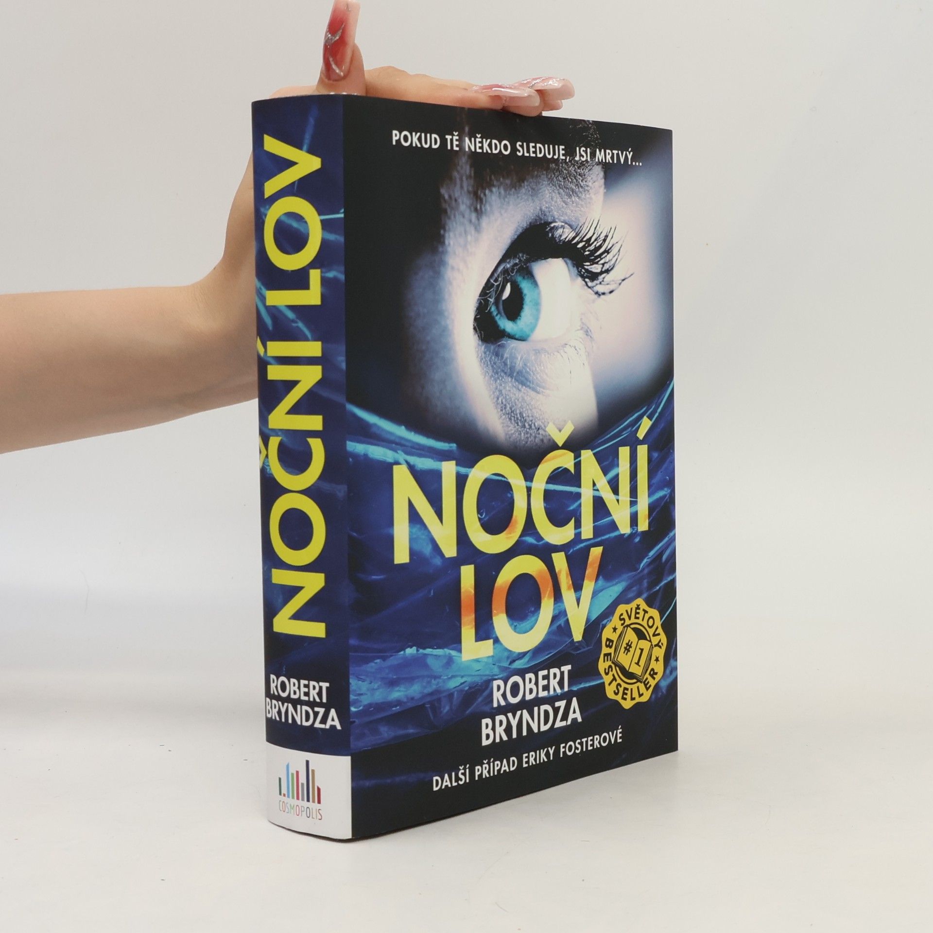 Robert Bryndza Noční lov