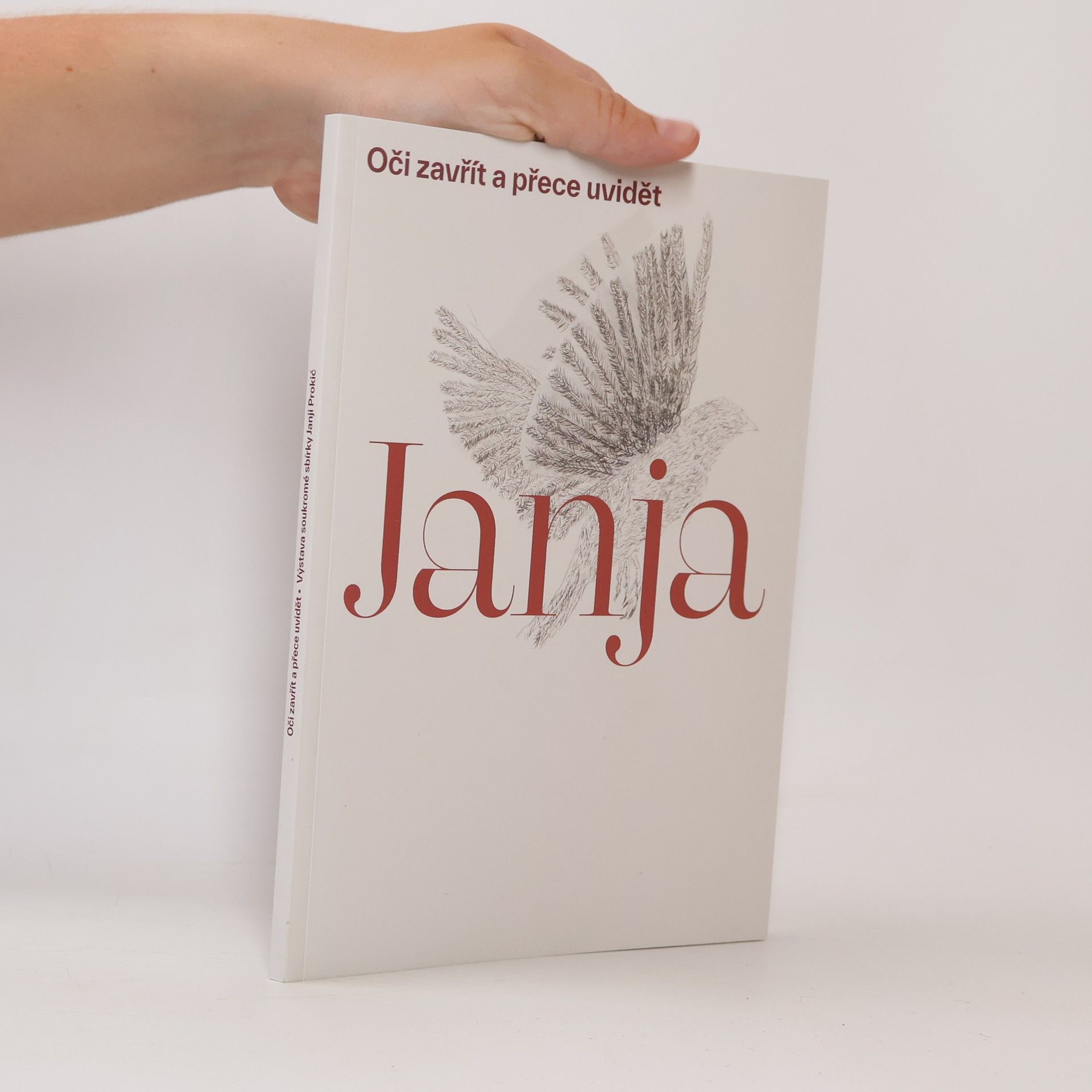 Janja Prokic Oči zavřít a přece uvidět
