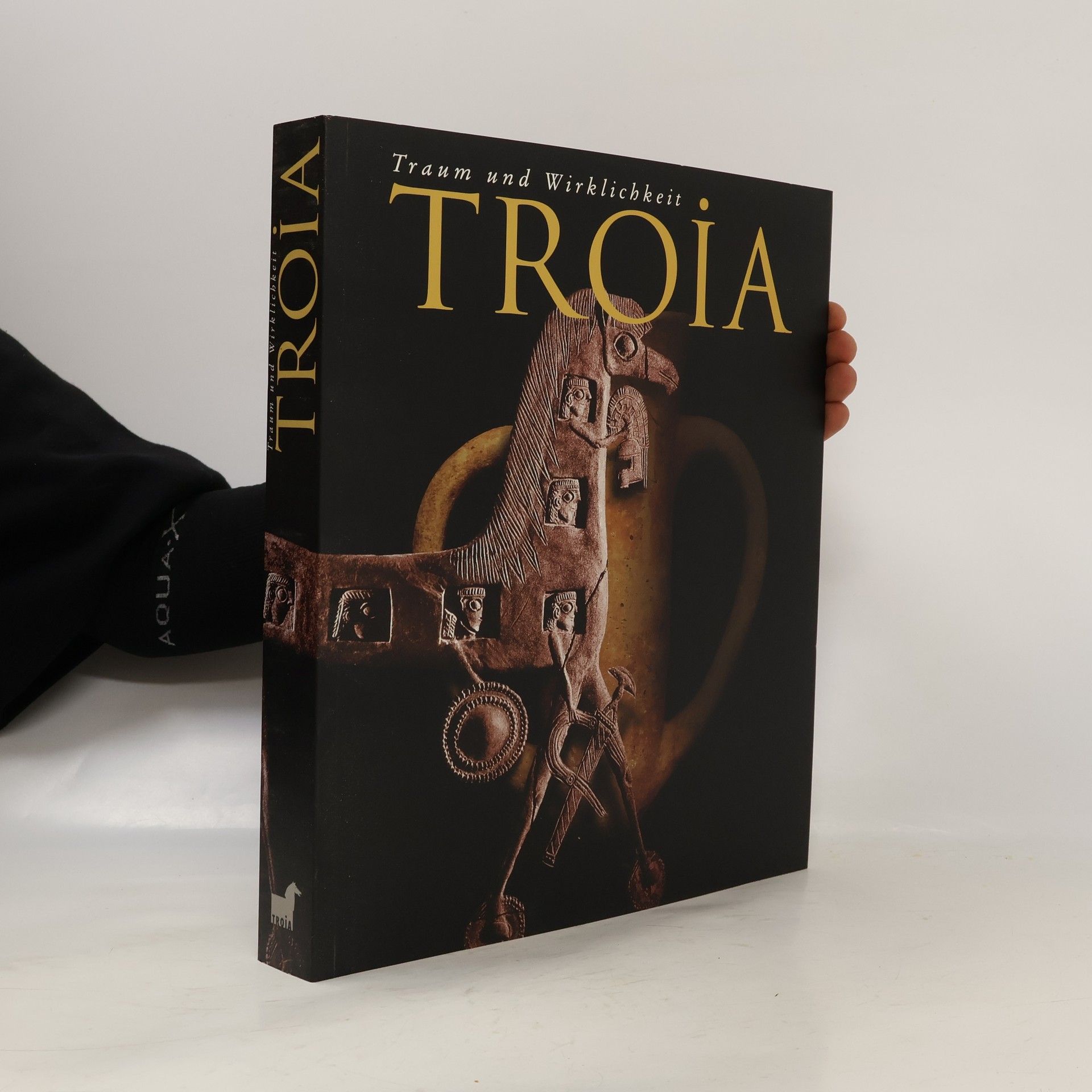 Autorenkollektiv Troia : Traum und wirklichkeit