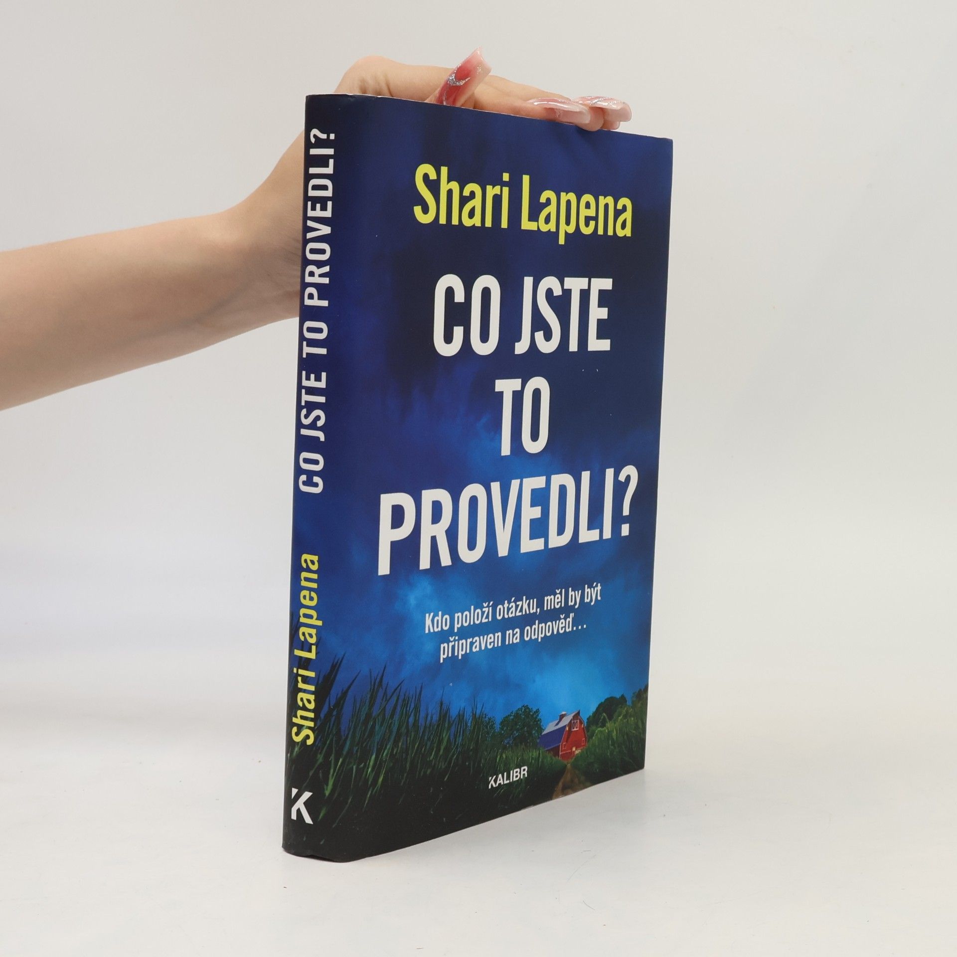Shari Lapena Co jste to provedli?