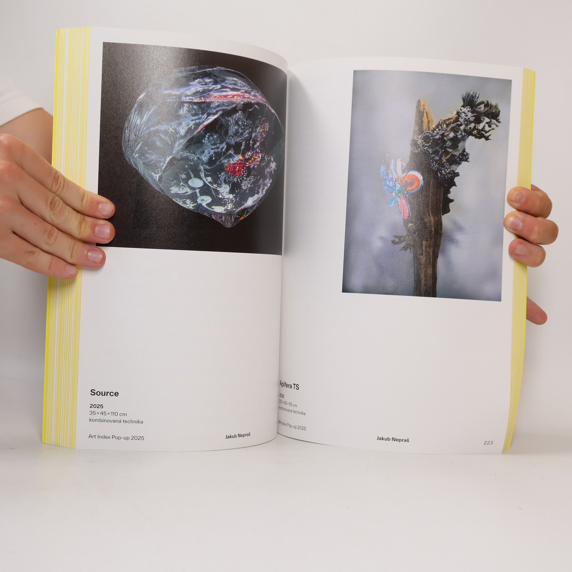 Valérie Horváth Katalog děl