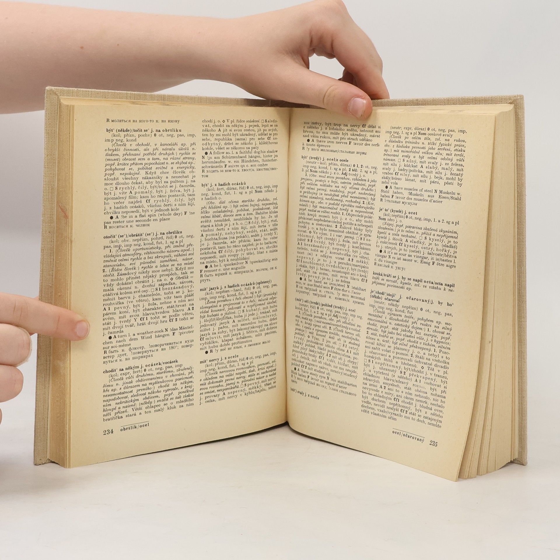 František Čermák (jazykovedec) Slovník české frazeologie a idiomatiky. Přirovnání