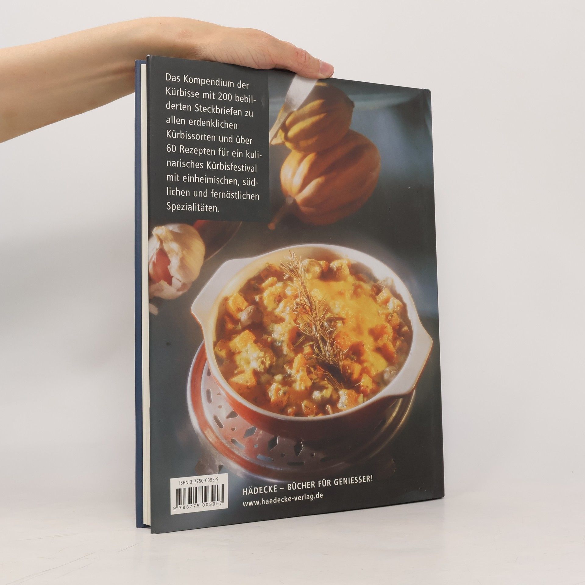 Michel Brancucci Das große Buch vom Kürbis