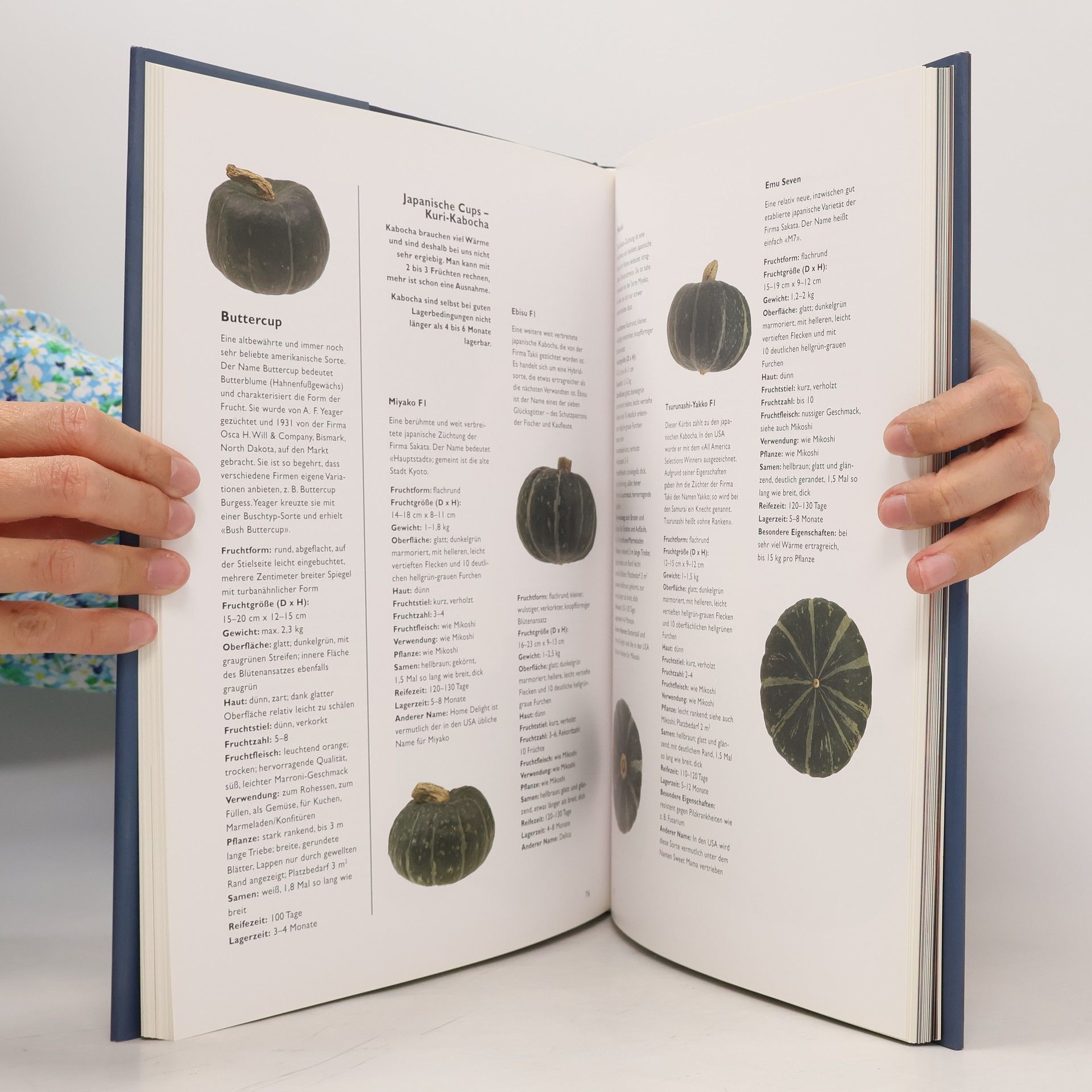 Michel Brancucci Das große Buch vom Kürbis
