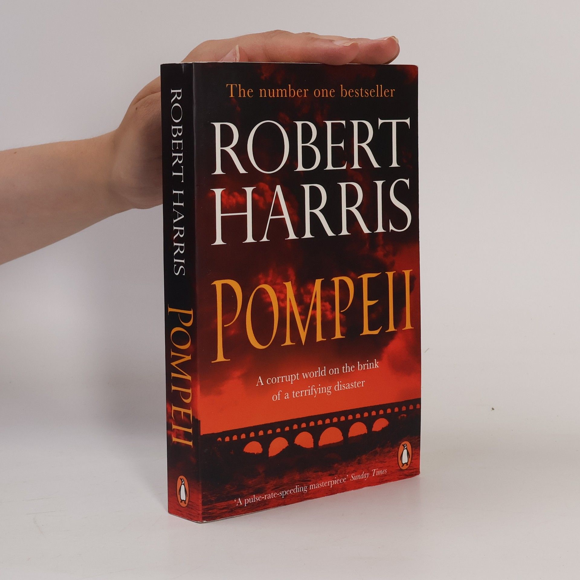 Robert Harris Pompeii