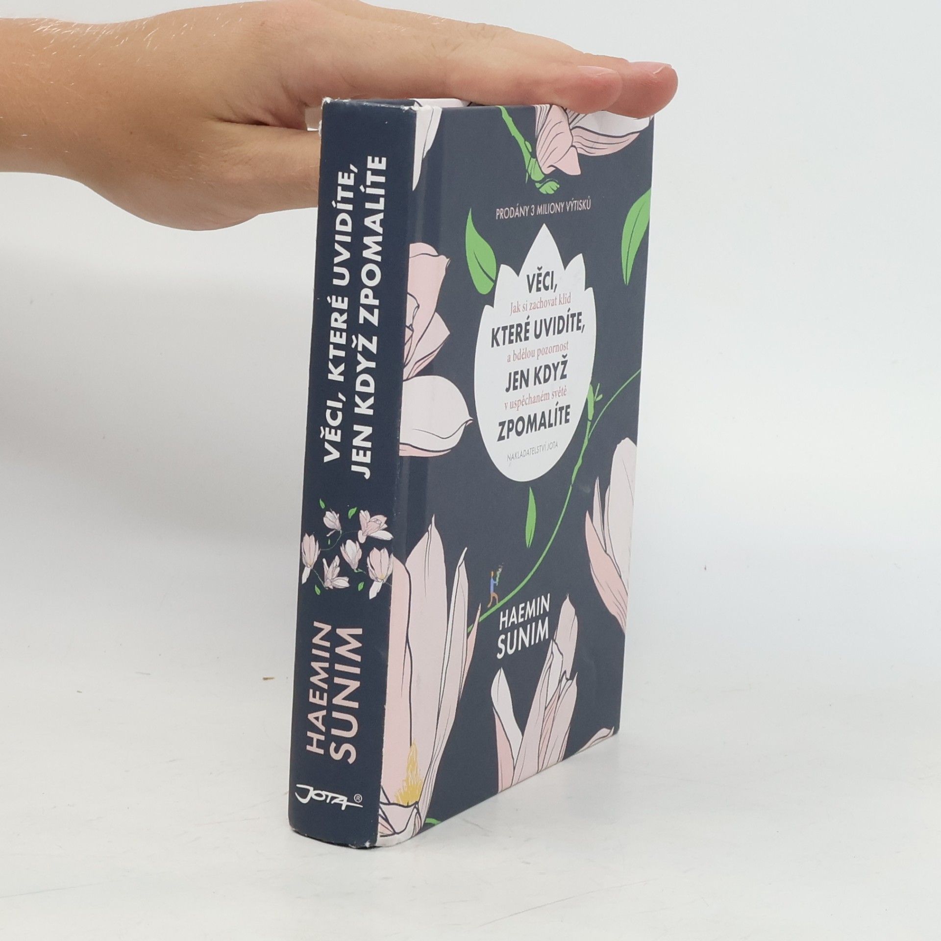 Sunim Haemin Věci, které uvidíte, jen když zpomalíte