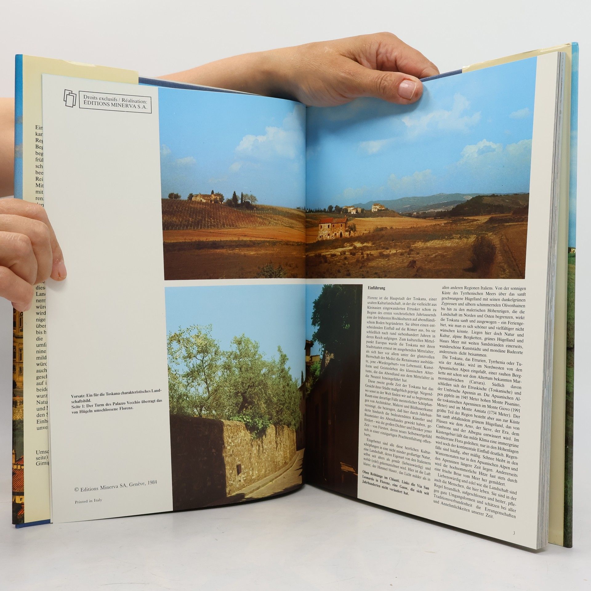 Autores varios Florenz und die Toskana