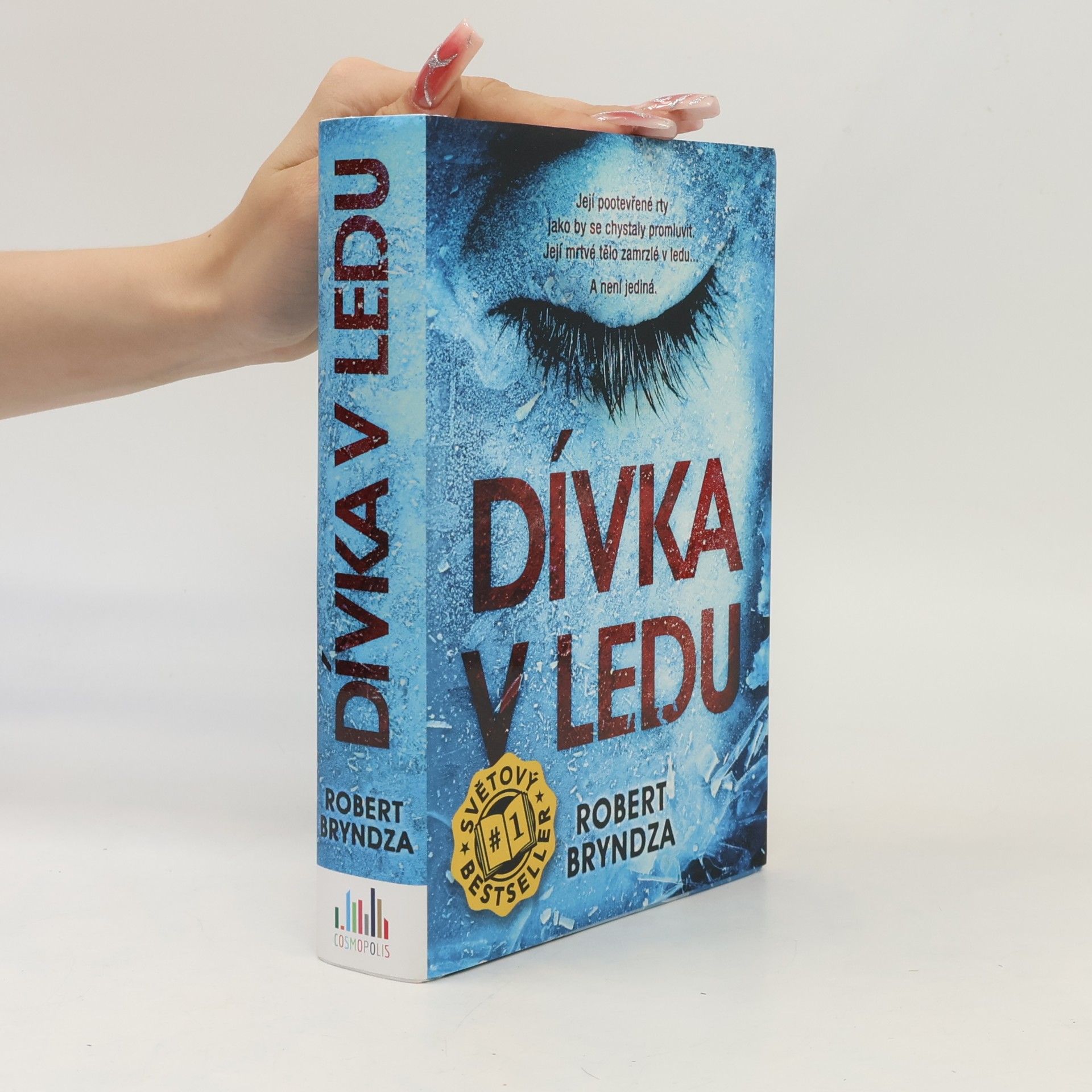 Robert Bryndza Dívka v ledu