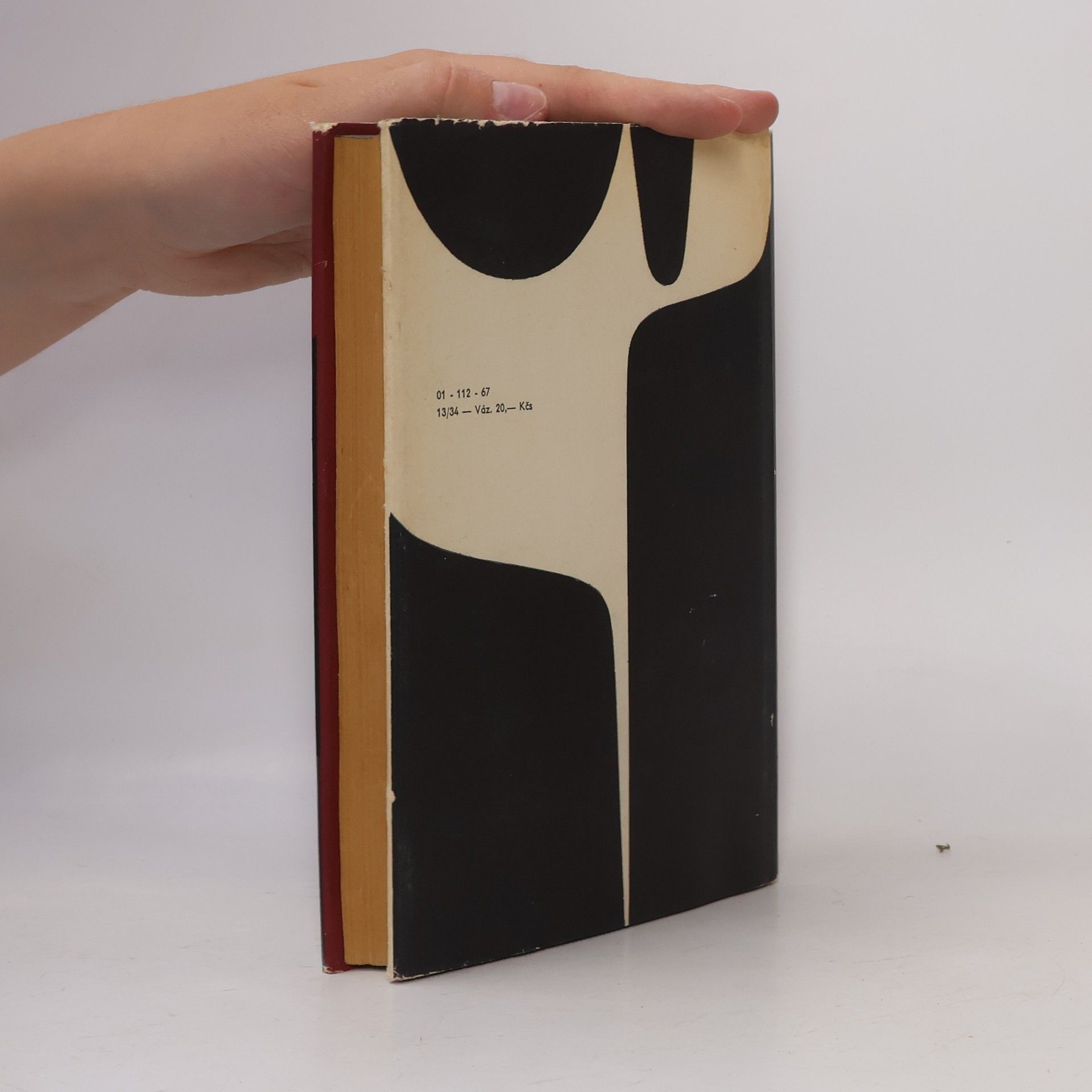 Erich Maria Remarque Vítězný oblouk