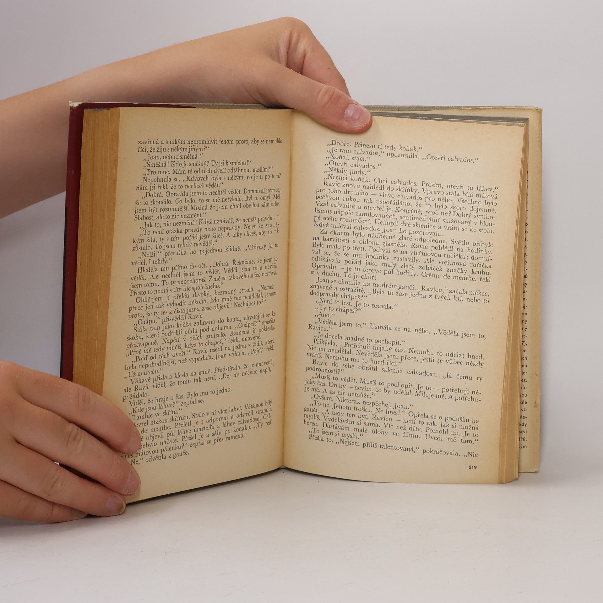 Erich Maria Remarque Vítězný oblouk