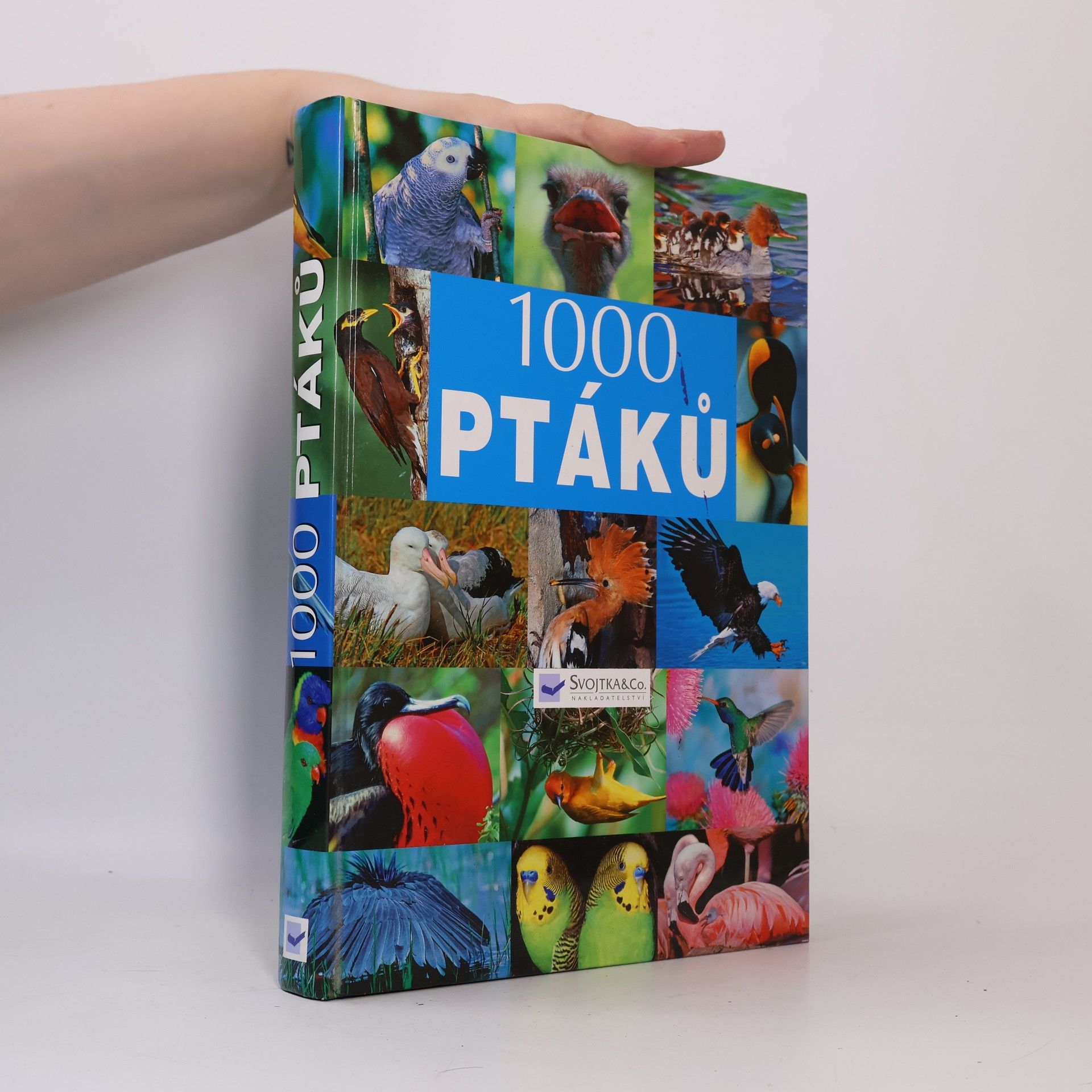 Collectif d'auteurs 1000 ptáků