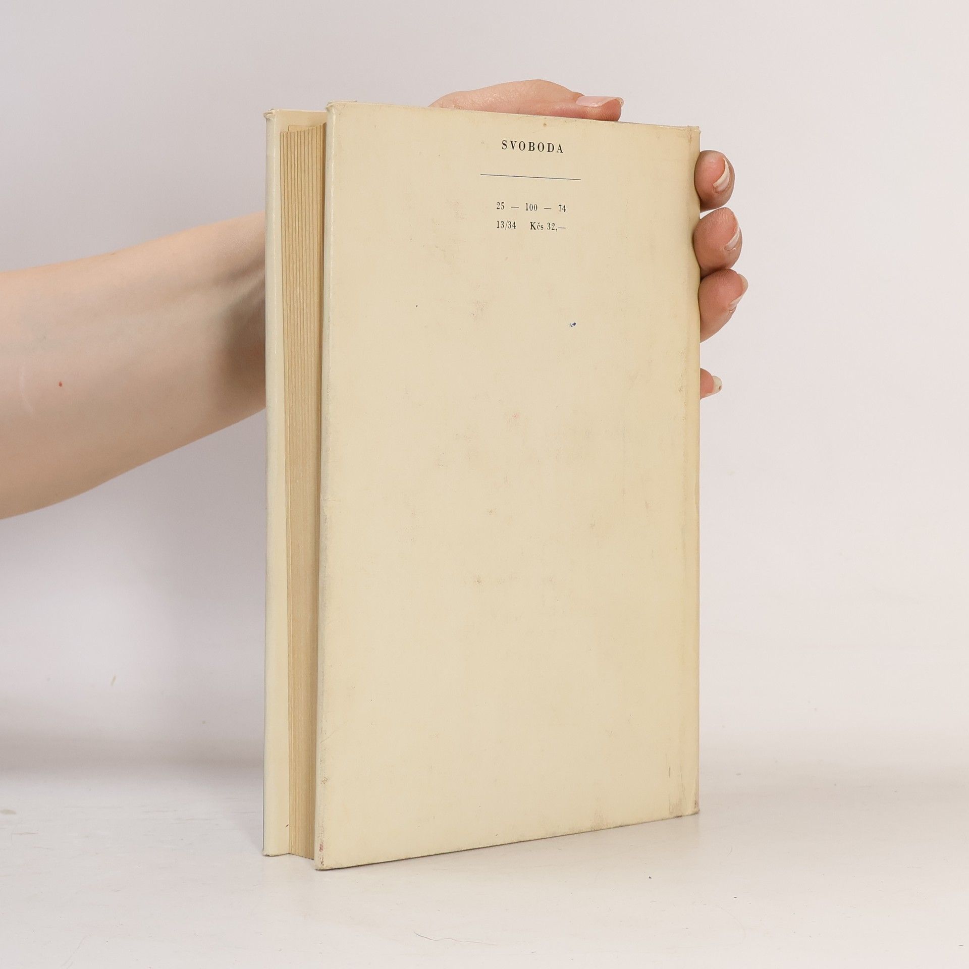 Robert Penn Warren Potopa