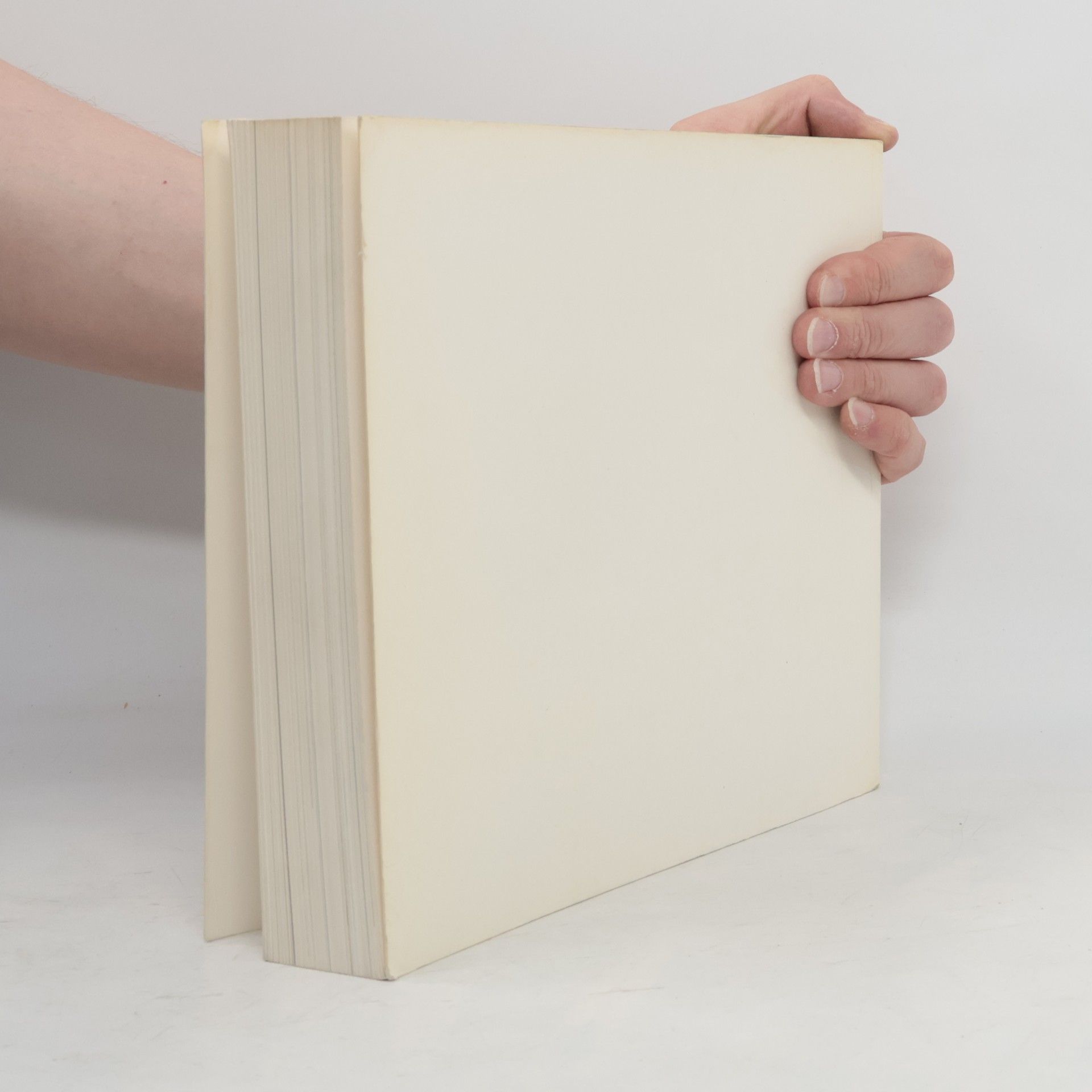 Autorenkollektiv Tschechische Kunst der 20er + 30er Jahre. Avantgarde und Tradition