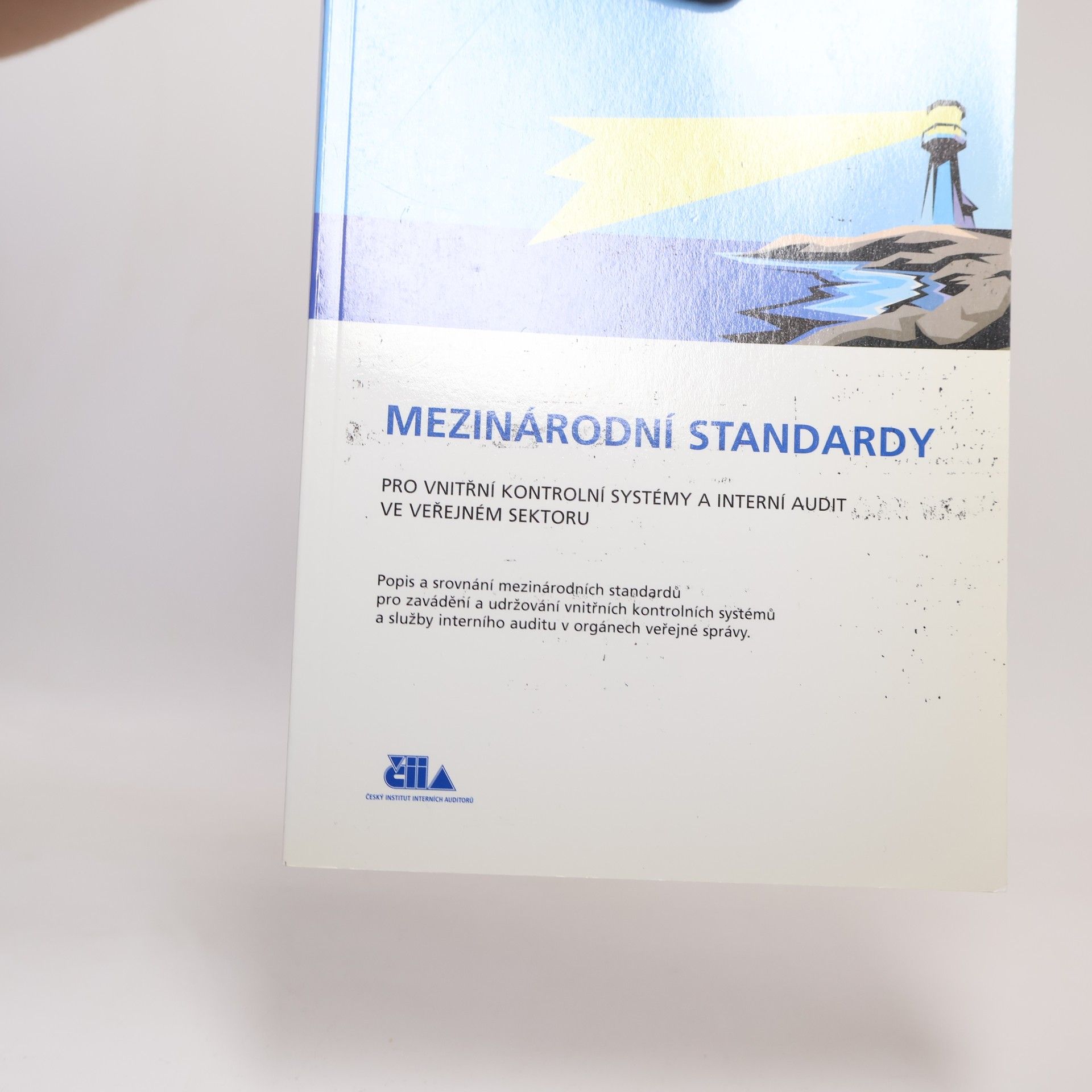 Mezinárodní standardy pro vnitřní kontrolní systémy a interní audit ve veřejném sektoru
