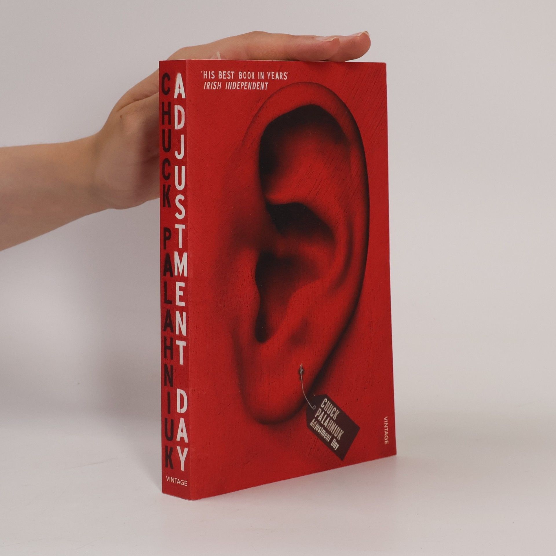 Chuck Palahniuk Adjustment day