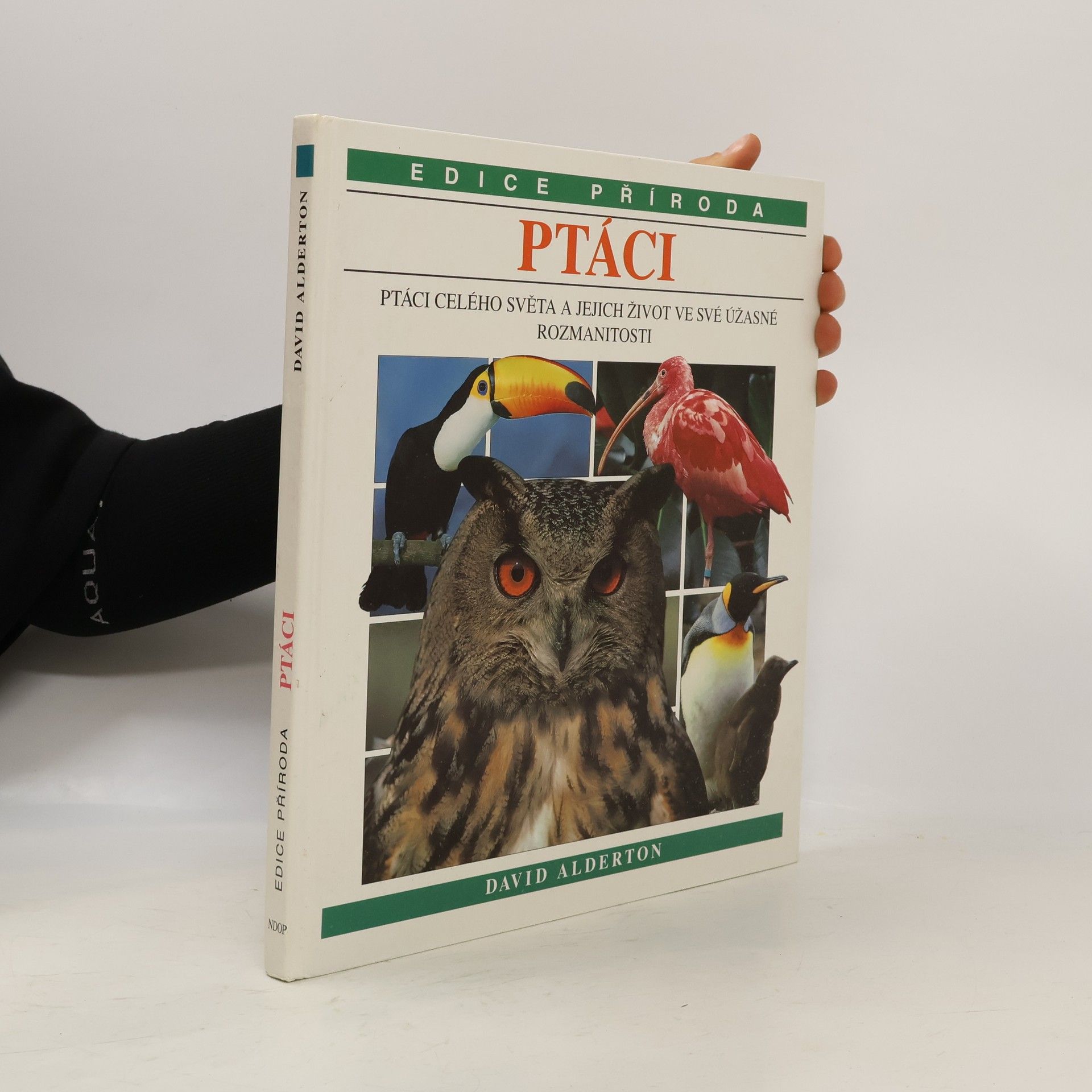 David Alderton Ptáci