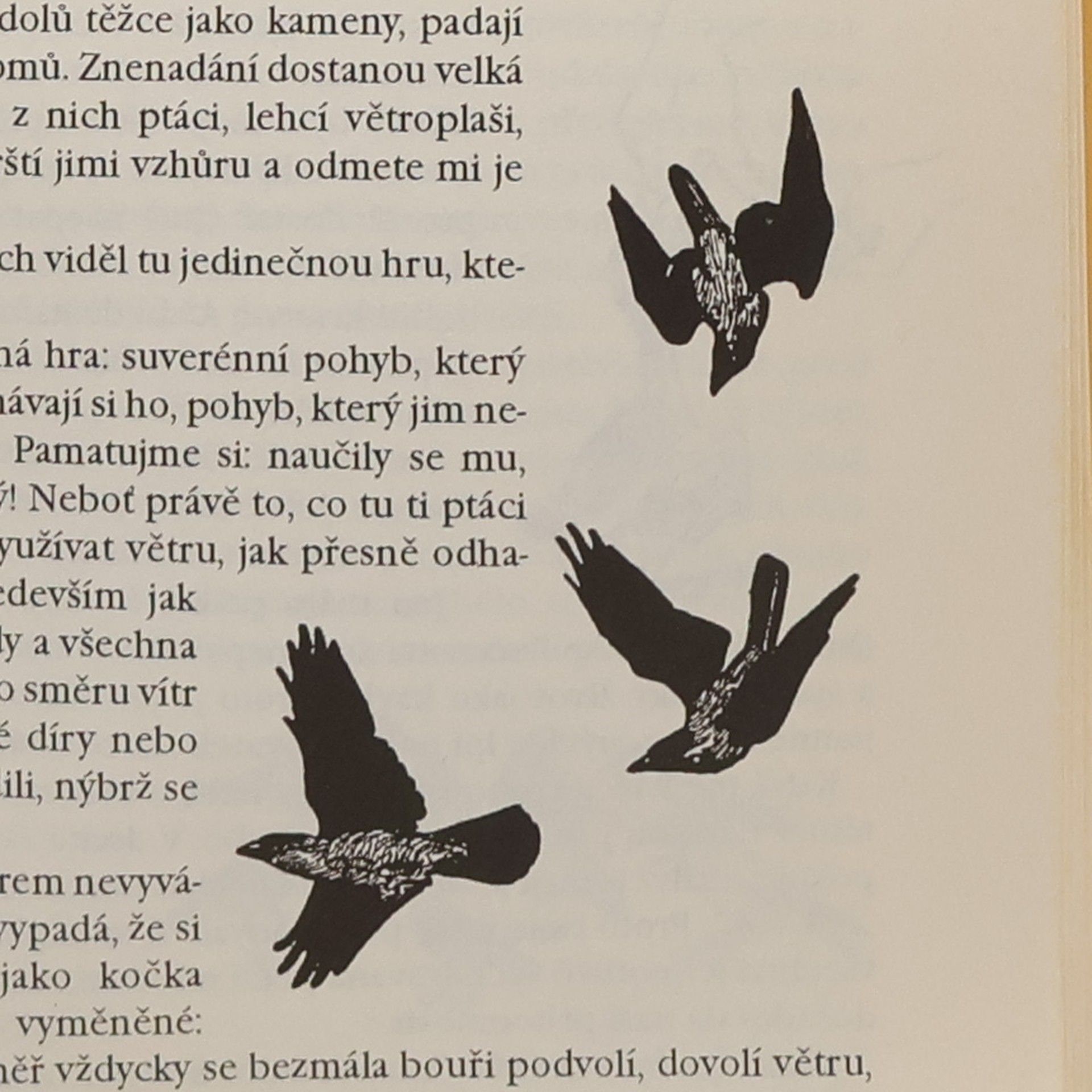 Konrad Lorenz Hovořil se zvěří, s ptáky a rybami