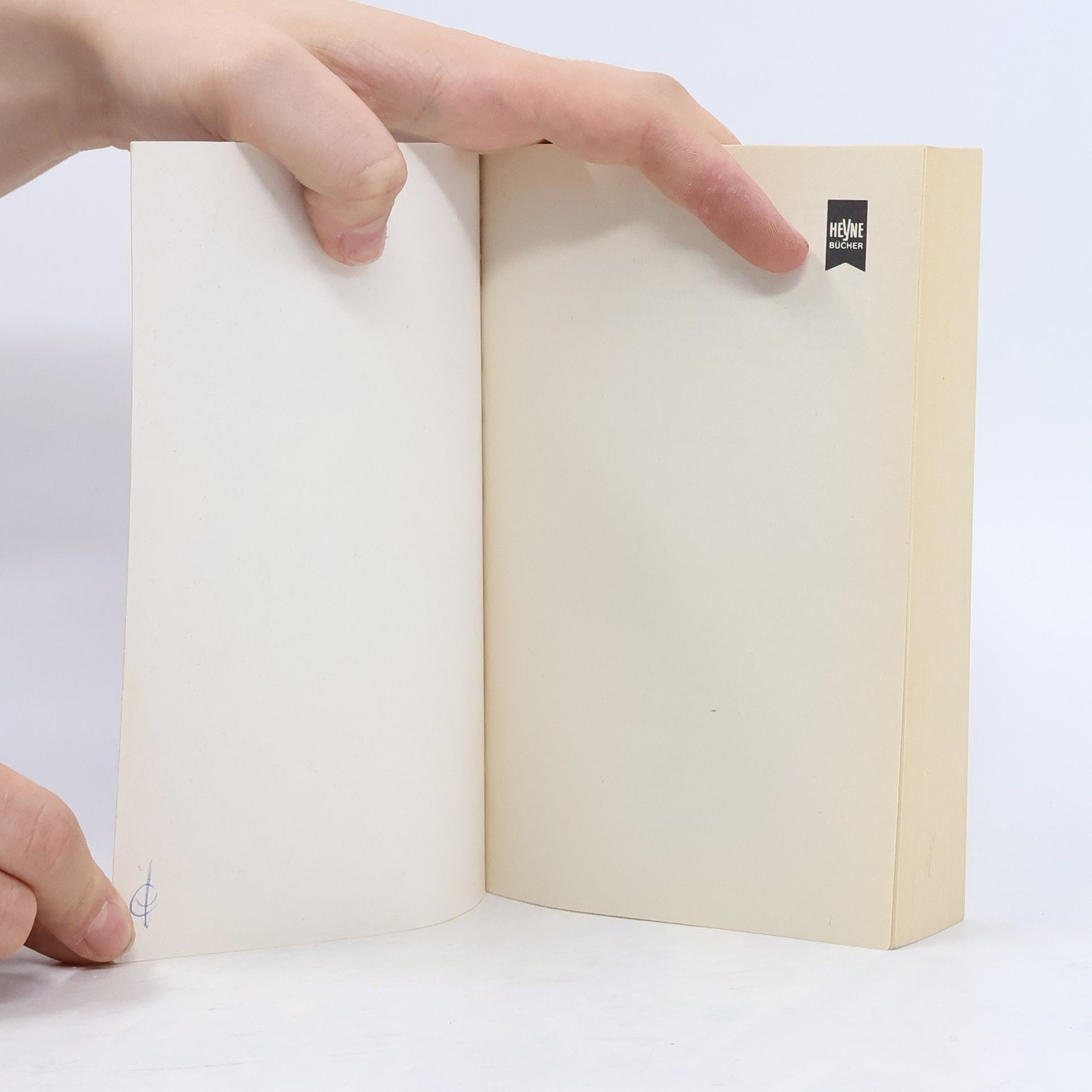 Barbara Michaels Spiegel der Vergangenheit