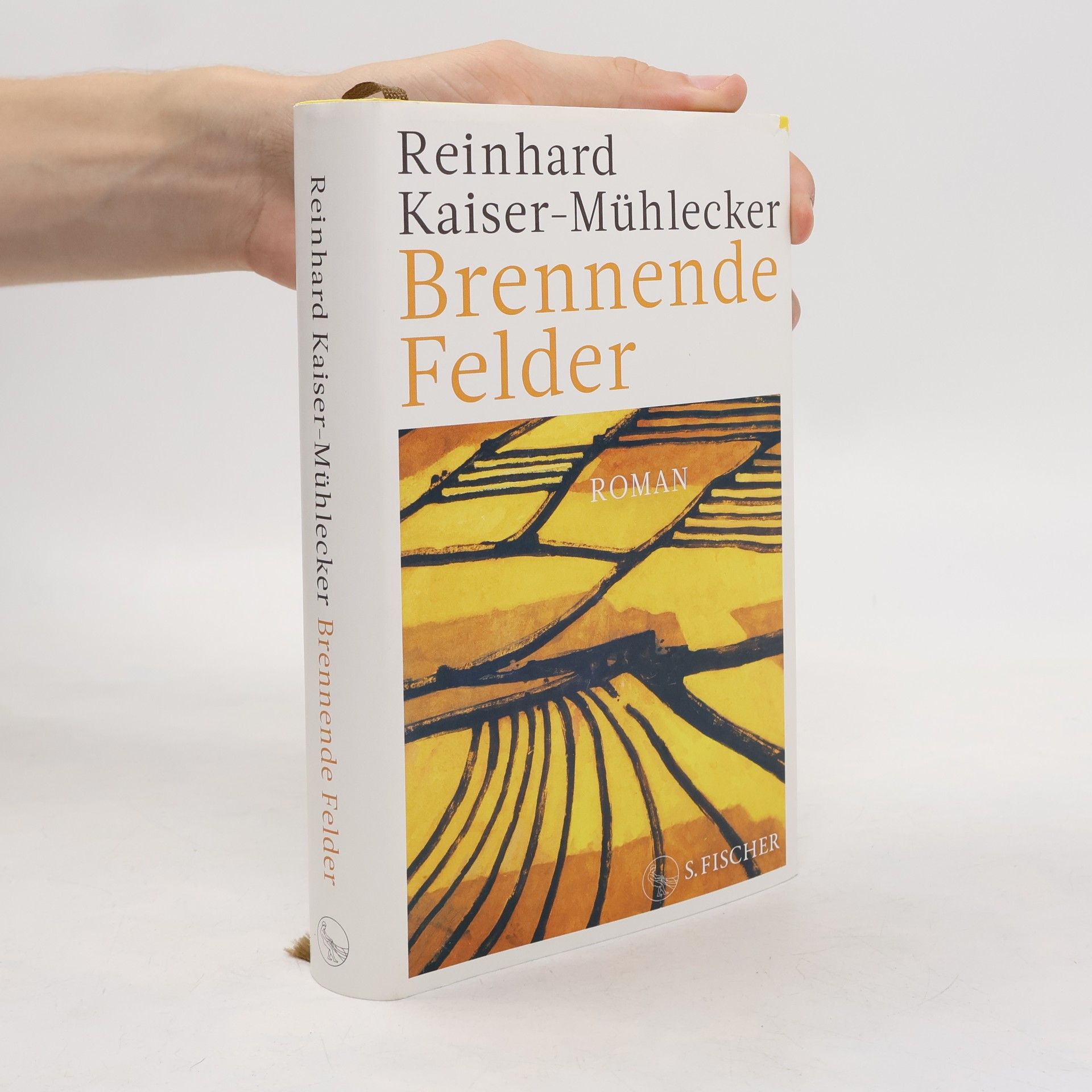 Reinhard Kaiser-Mühlecker Brennende Felder