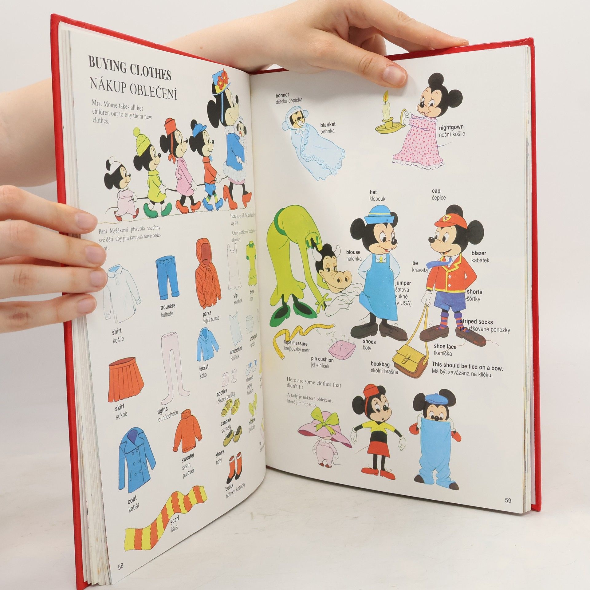 Walt Disney Velký obrázkový slovník anglicko-český