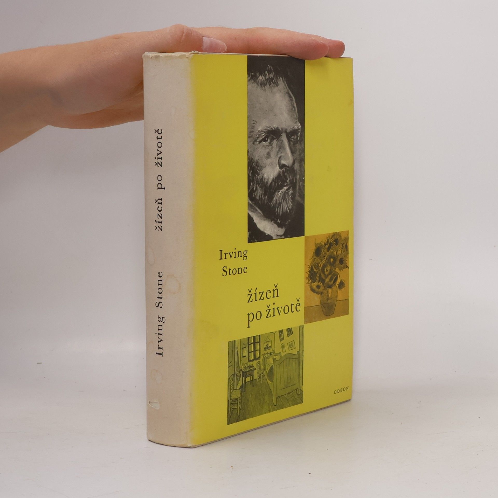 Irving Stone Žízeň po životě