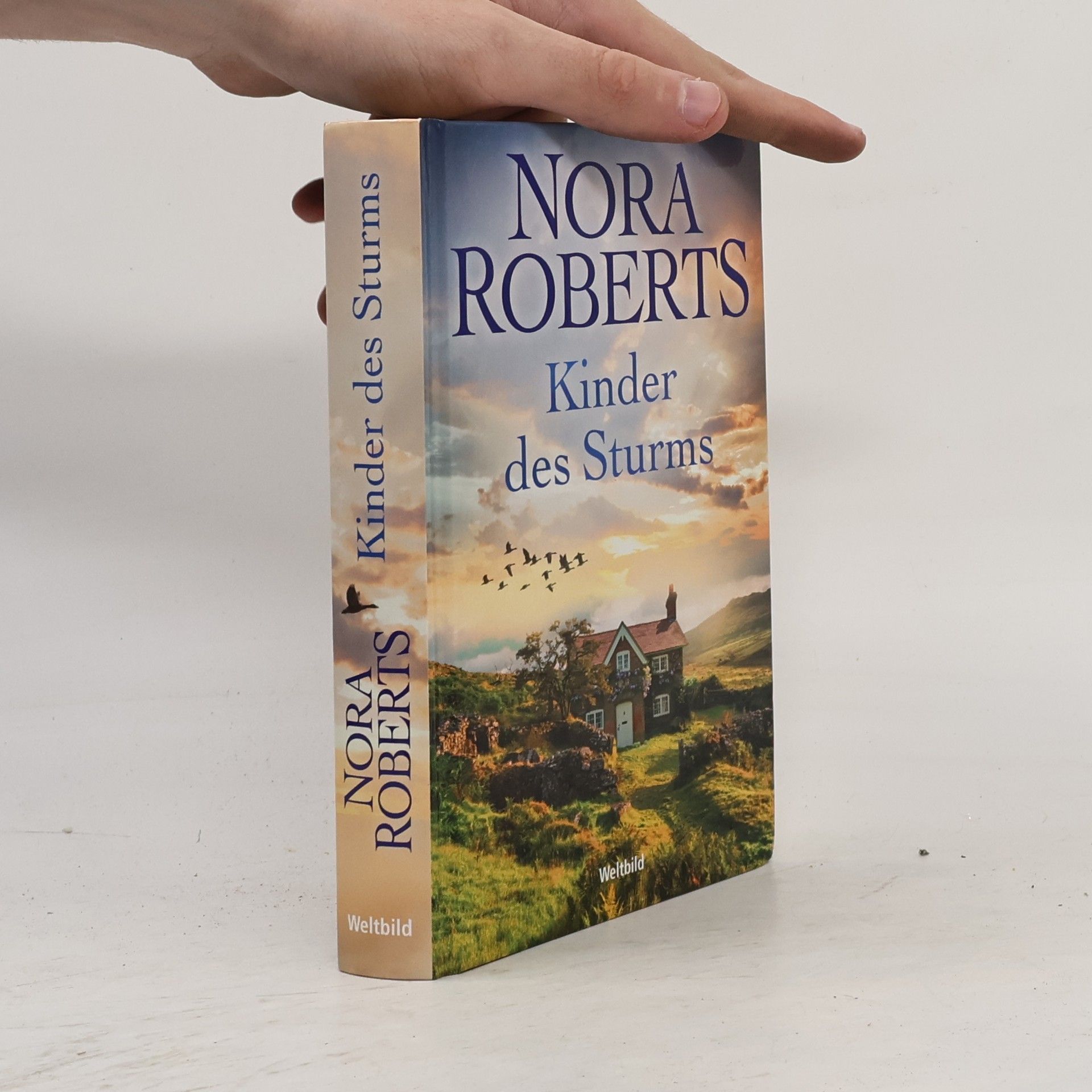 Nora Roberts Insel des Sturms
