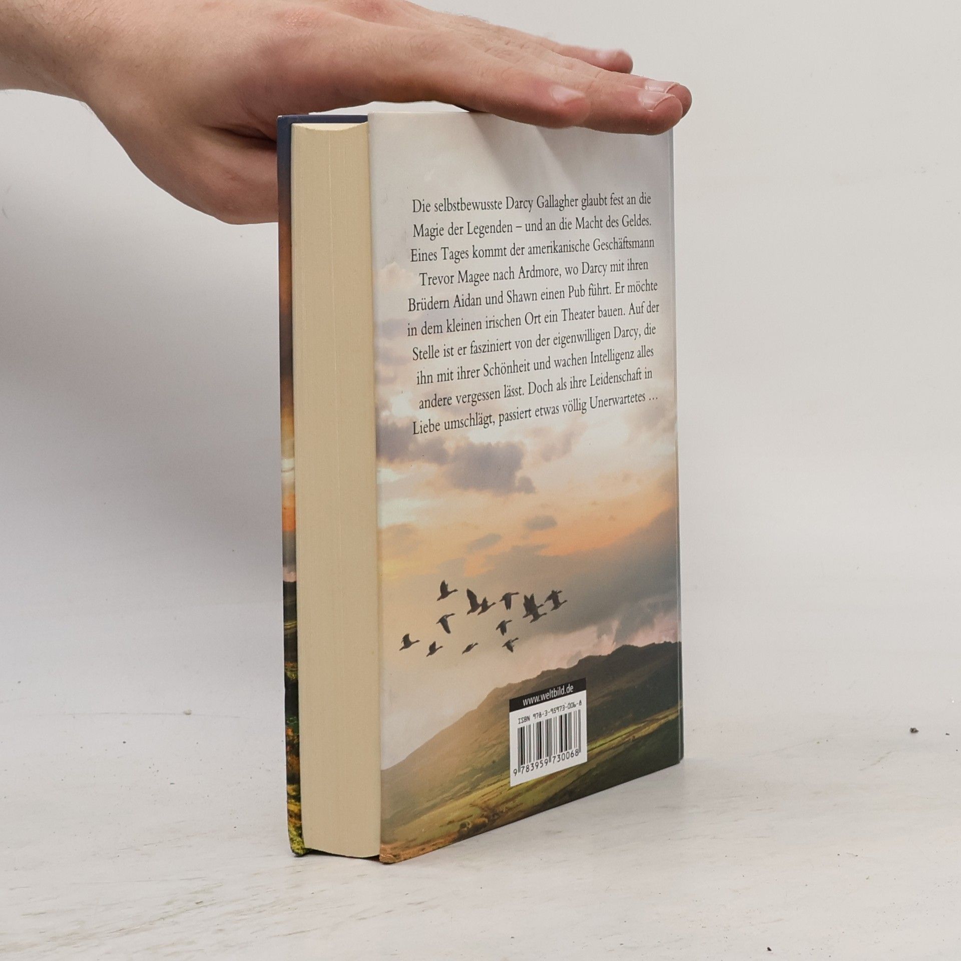 Nora Roberts Insel des Sturms