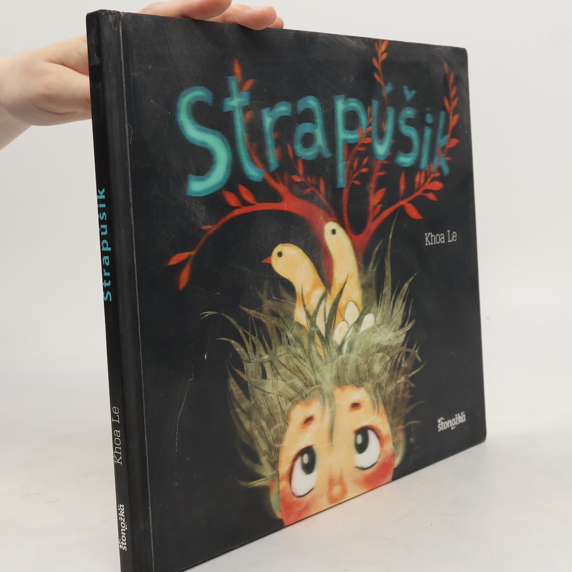 Khoa Le Strapúšik