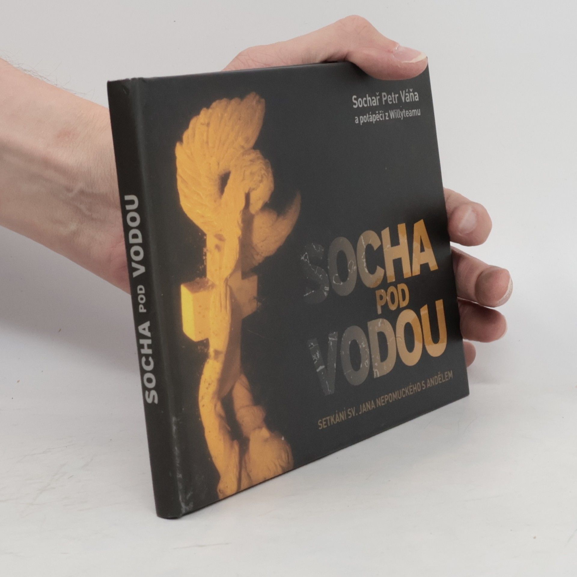 Martina Frouz V Socha pod vodou : setkání sv. Jana Nepomuckého s andělem
