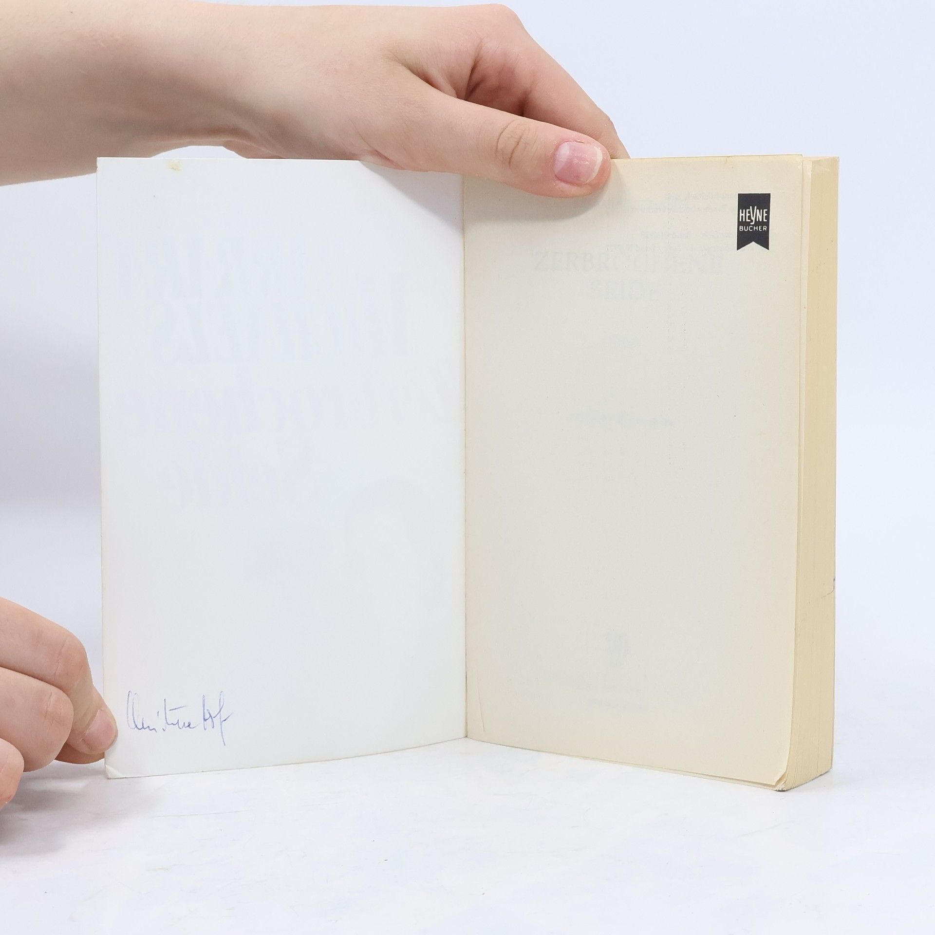 Barbara Michaels Heyne Allgemeine Reihe - 1: Zerbrochene Seide