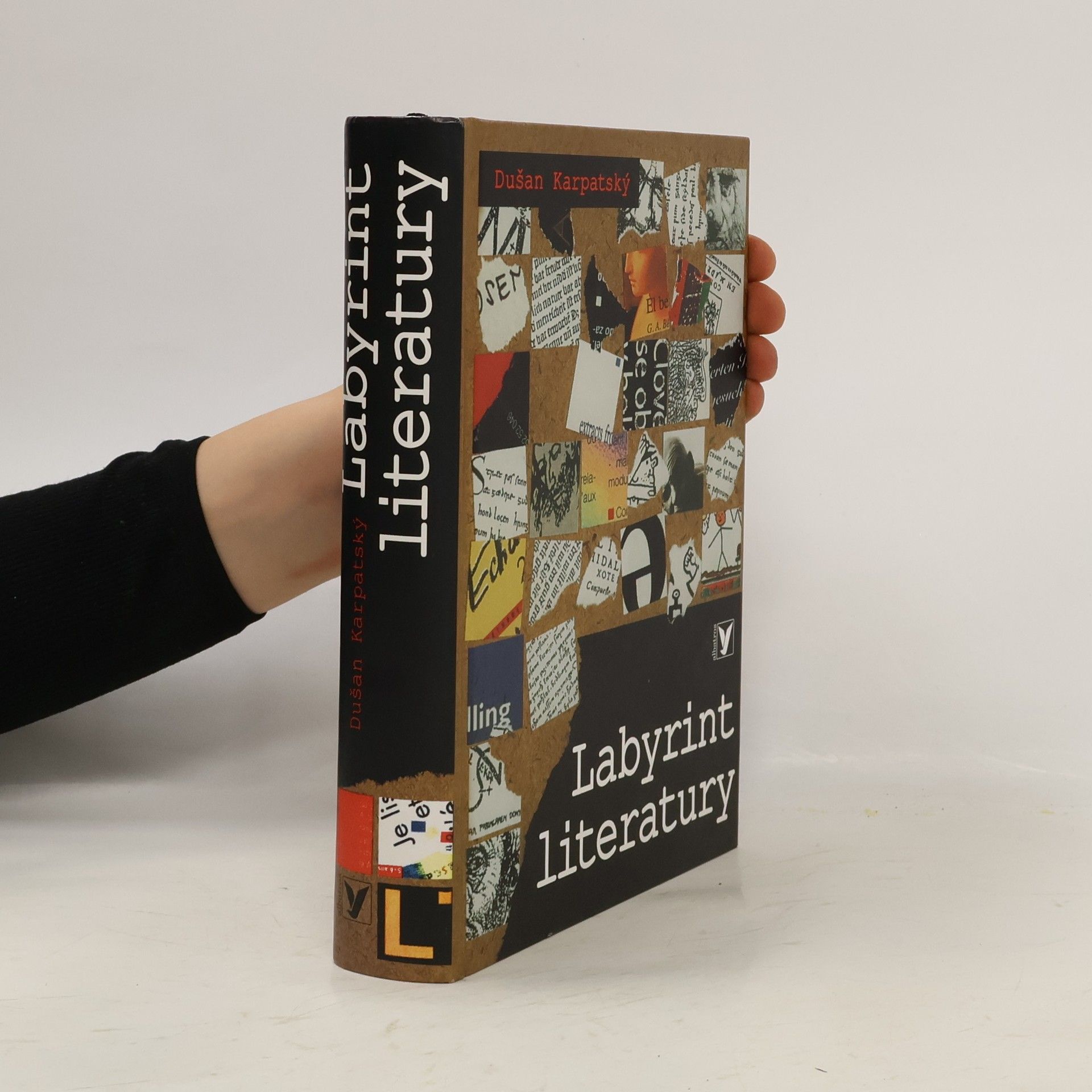 Dušan Karpatský Labyrint literatury