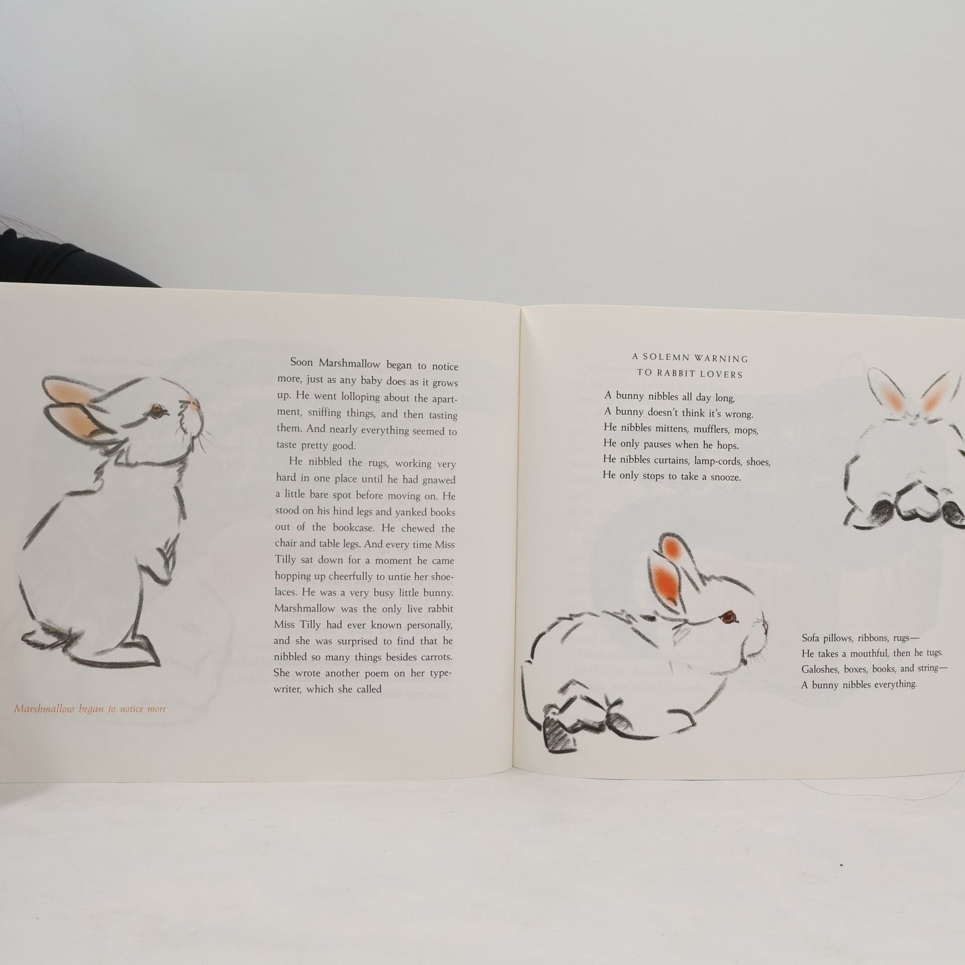 Clare Turlay Newberry Marshmallow