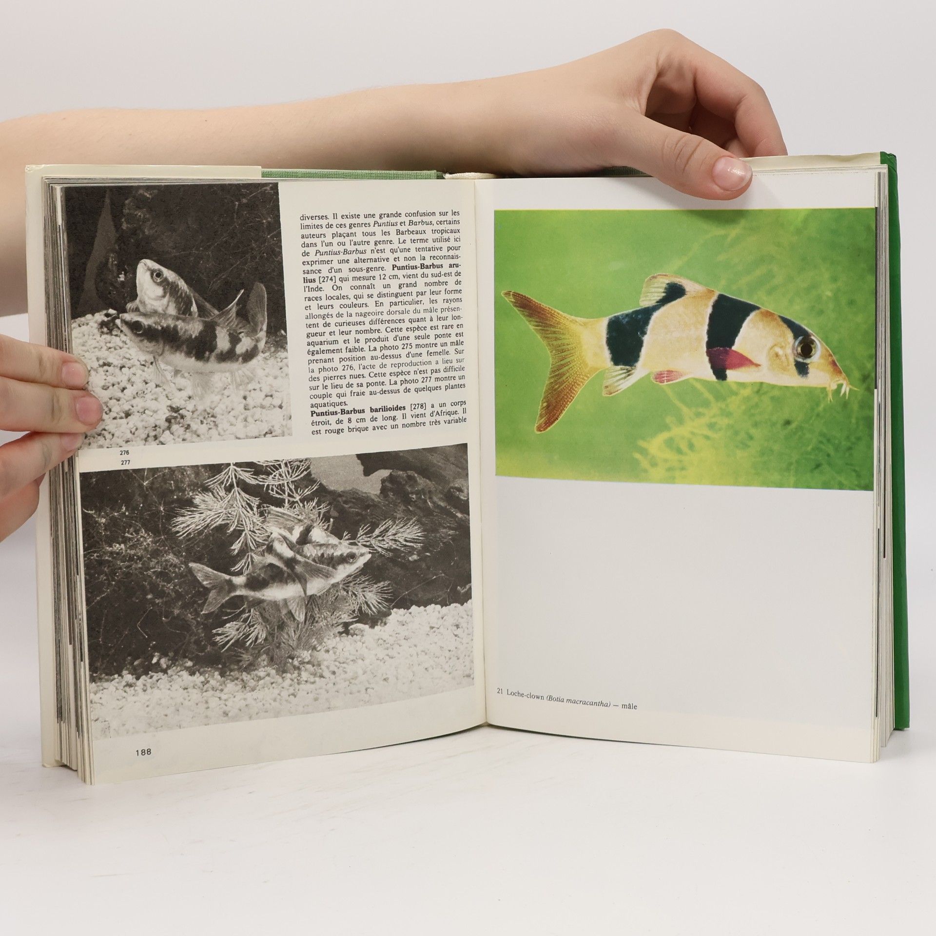 Autorenkollektiv Encyclopédie illustrée des poissons