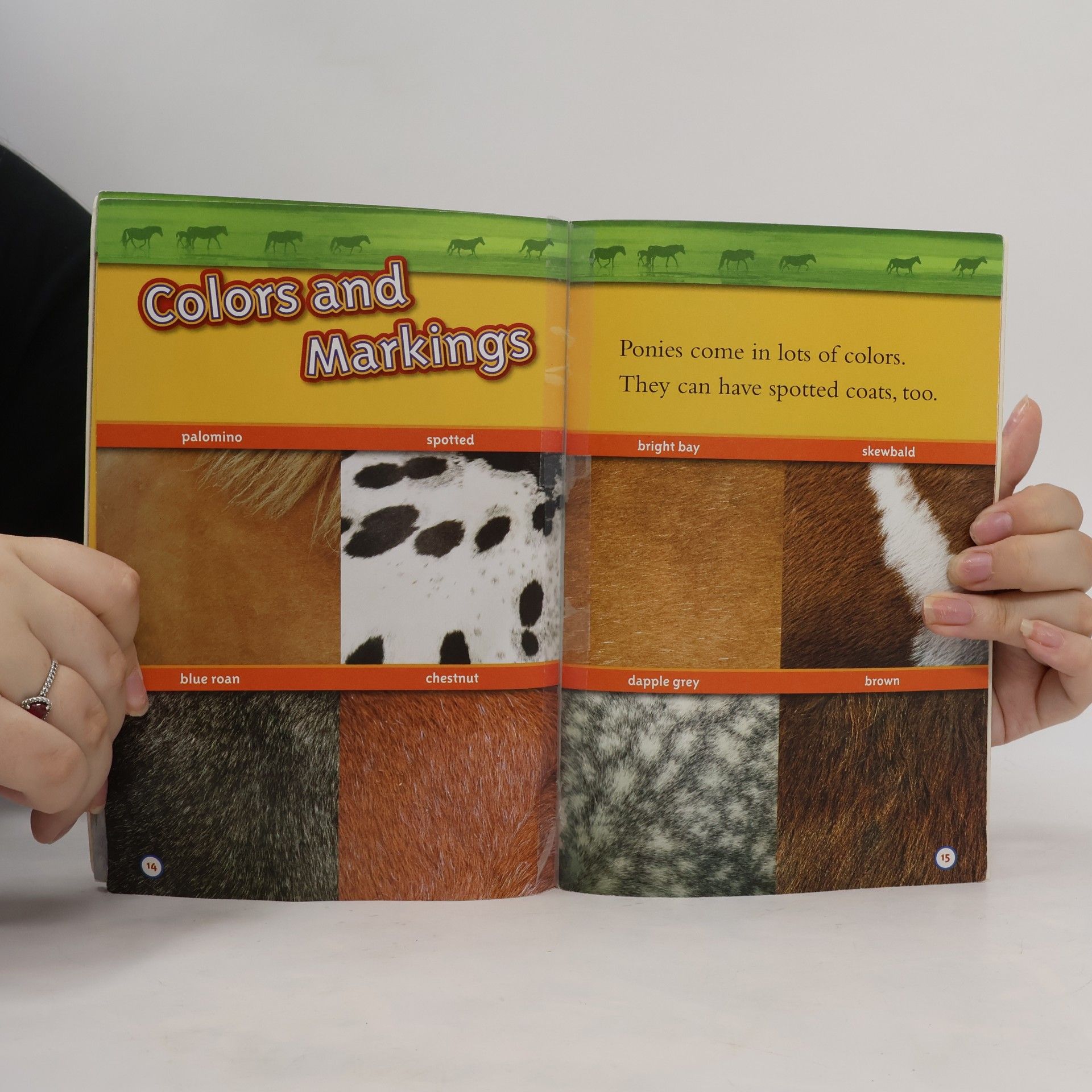 Laura F. Marsh National Geographic Kids - 1: Ponies