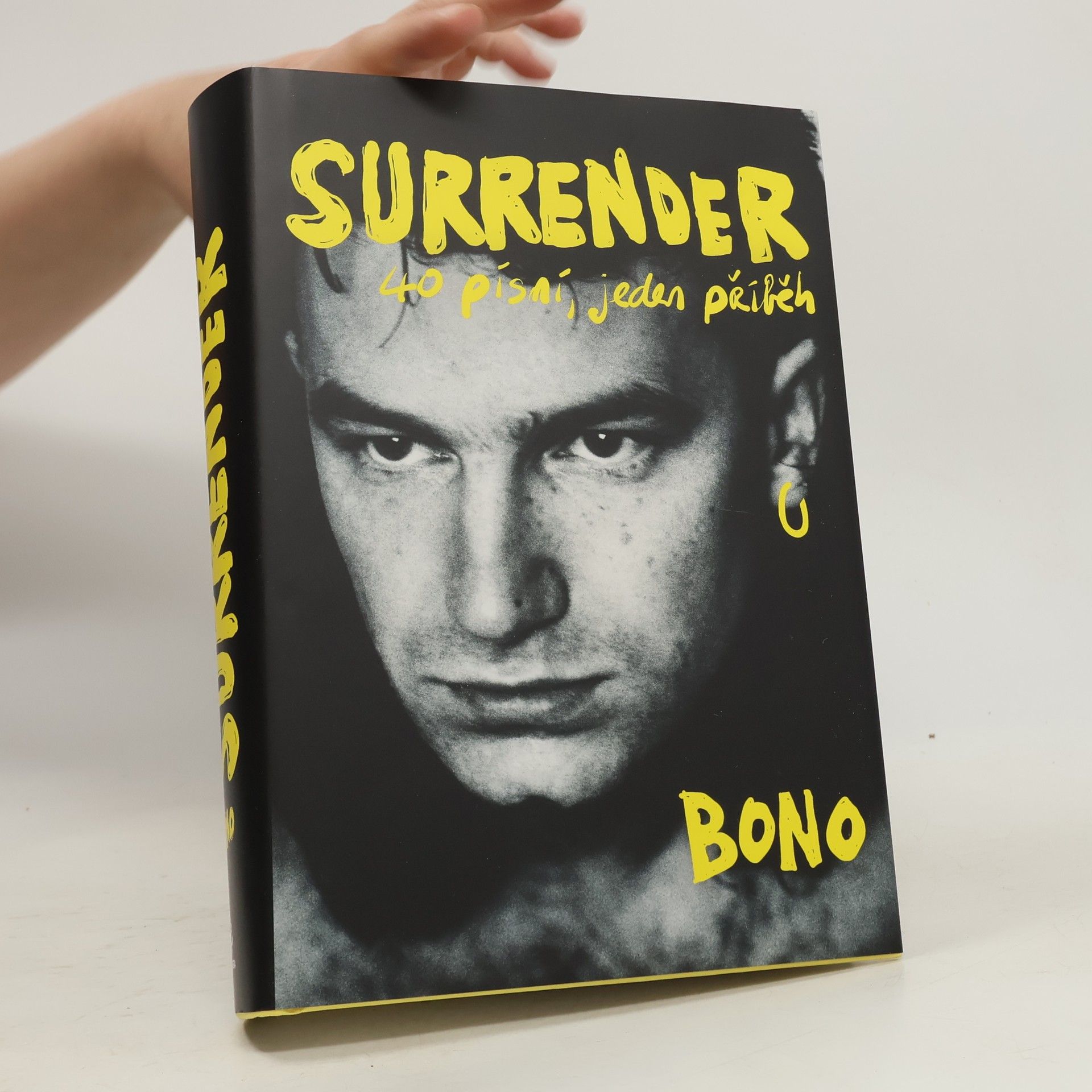 Surrender : 40 písní, jeden příběh