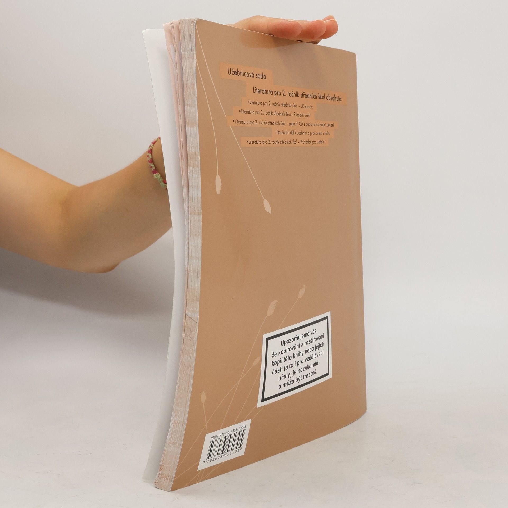 Auteurscollectief Literatura pro 2. ročník středních škol. Pracovní sešit