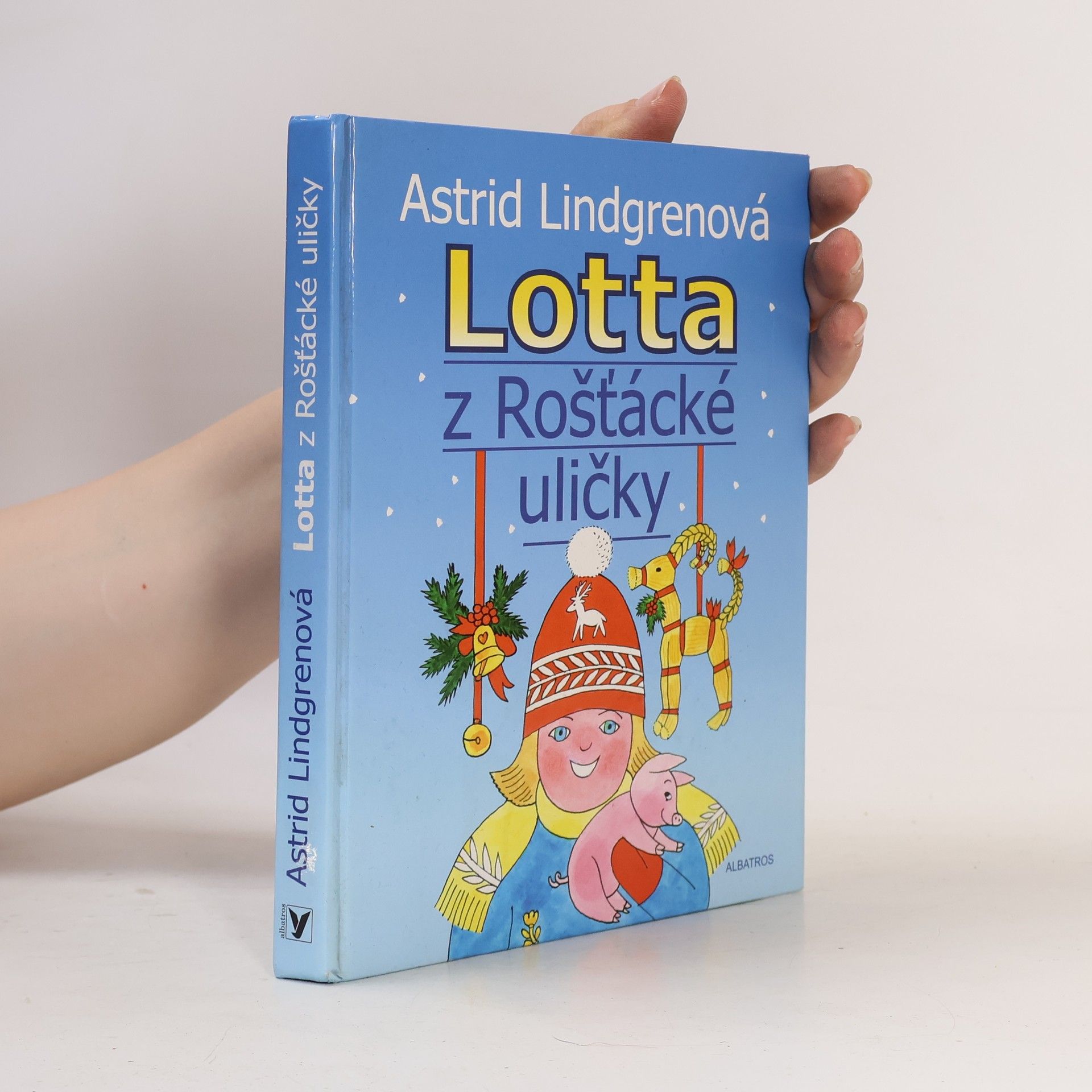 Lotta z Rošťácké uličky