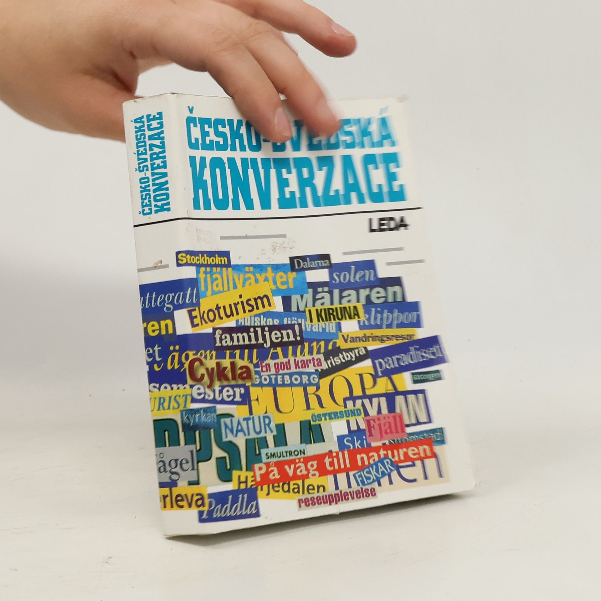 Kolektiv autorů Česko-švédská konverzace