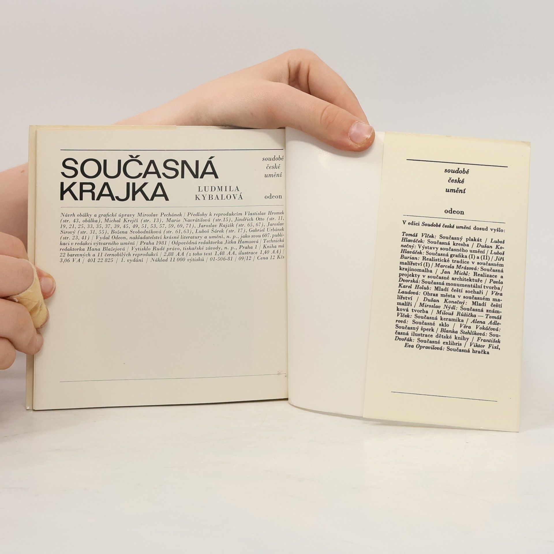 Ludmila Kybalová Současná krajka