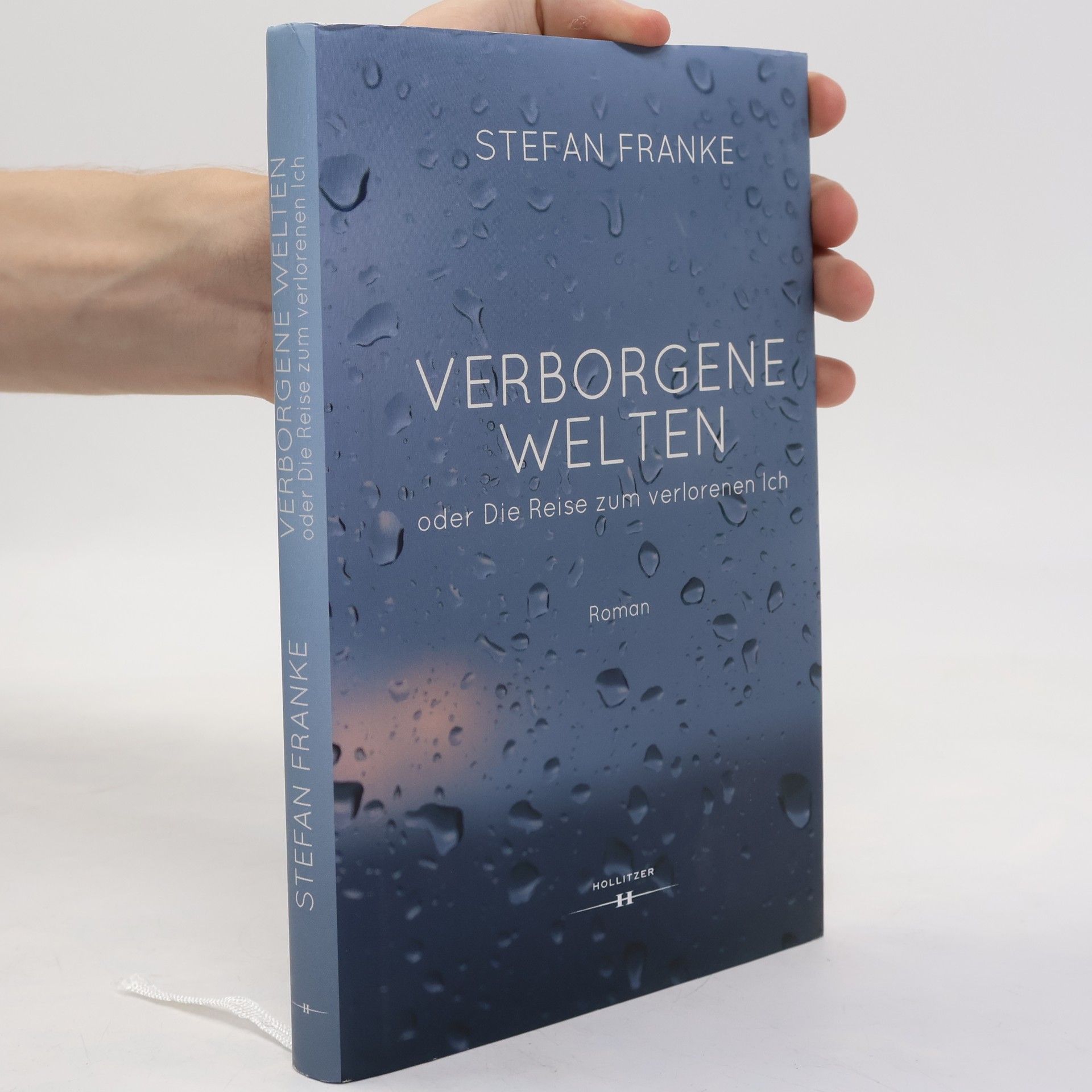 Stefan Franke Verborgene Welten oder Die Reise zum verlorenen Ich