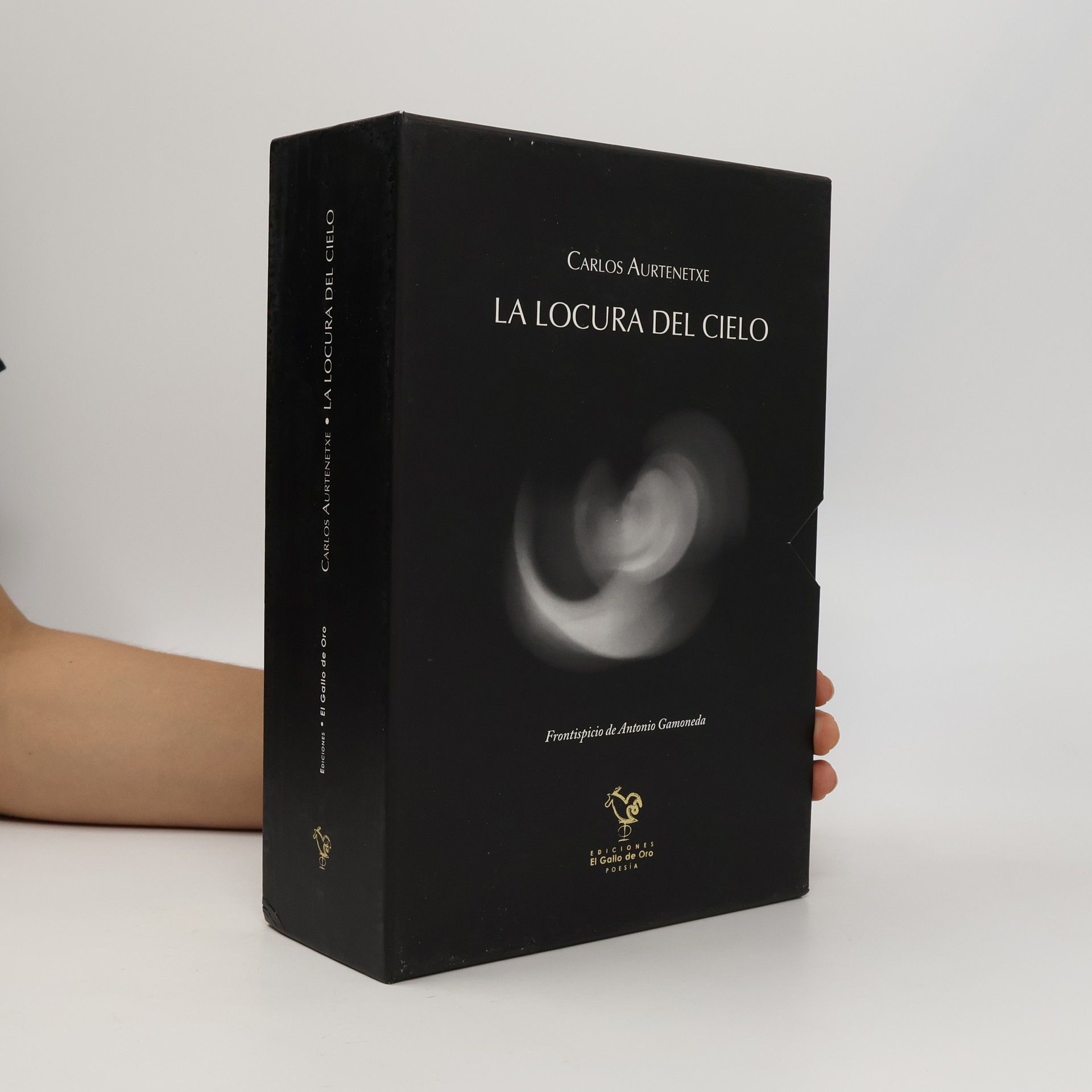 Carlos Aurtenetxe La locura del cielo