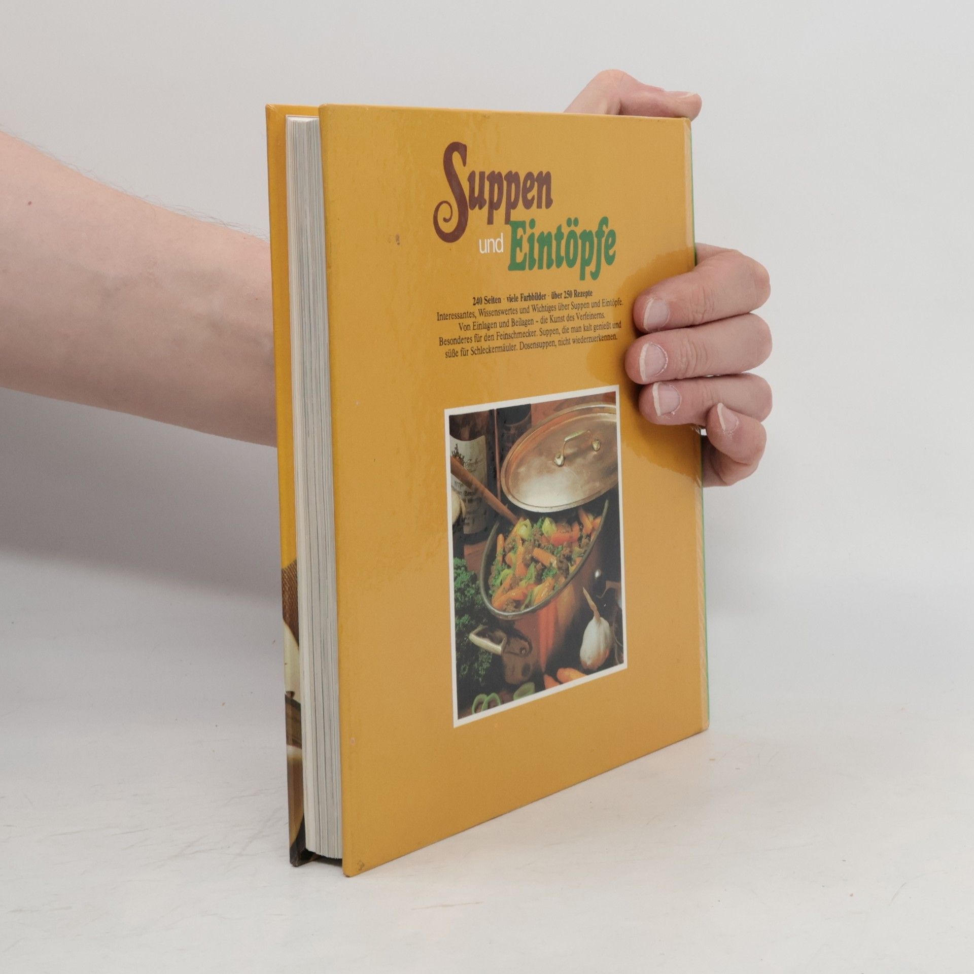 Collectif d'auteurs Suppen und Eintöpfe