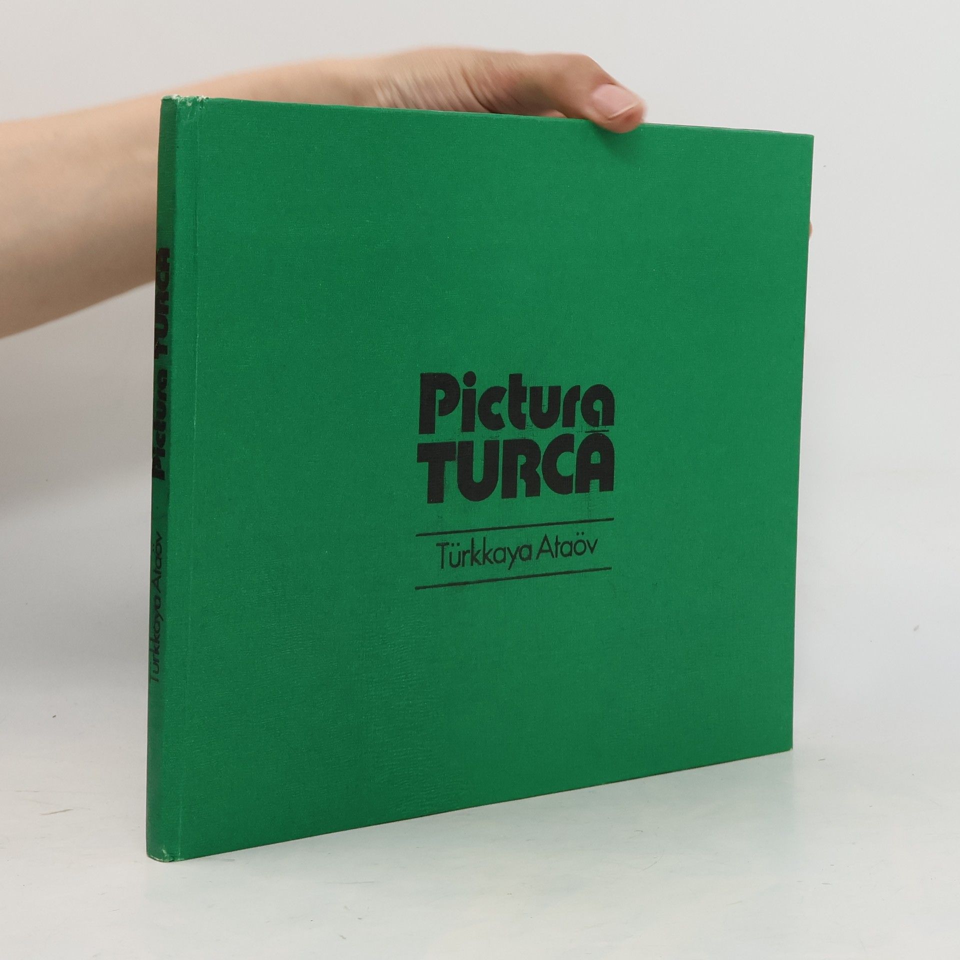 Türkkaya Ataöv Pictura Turca