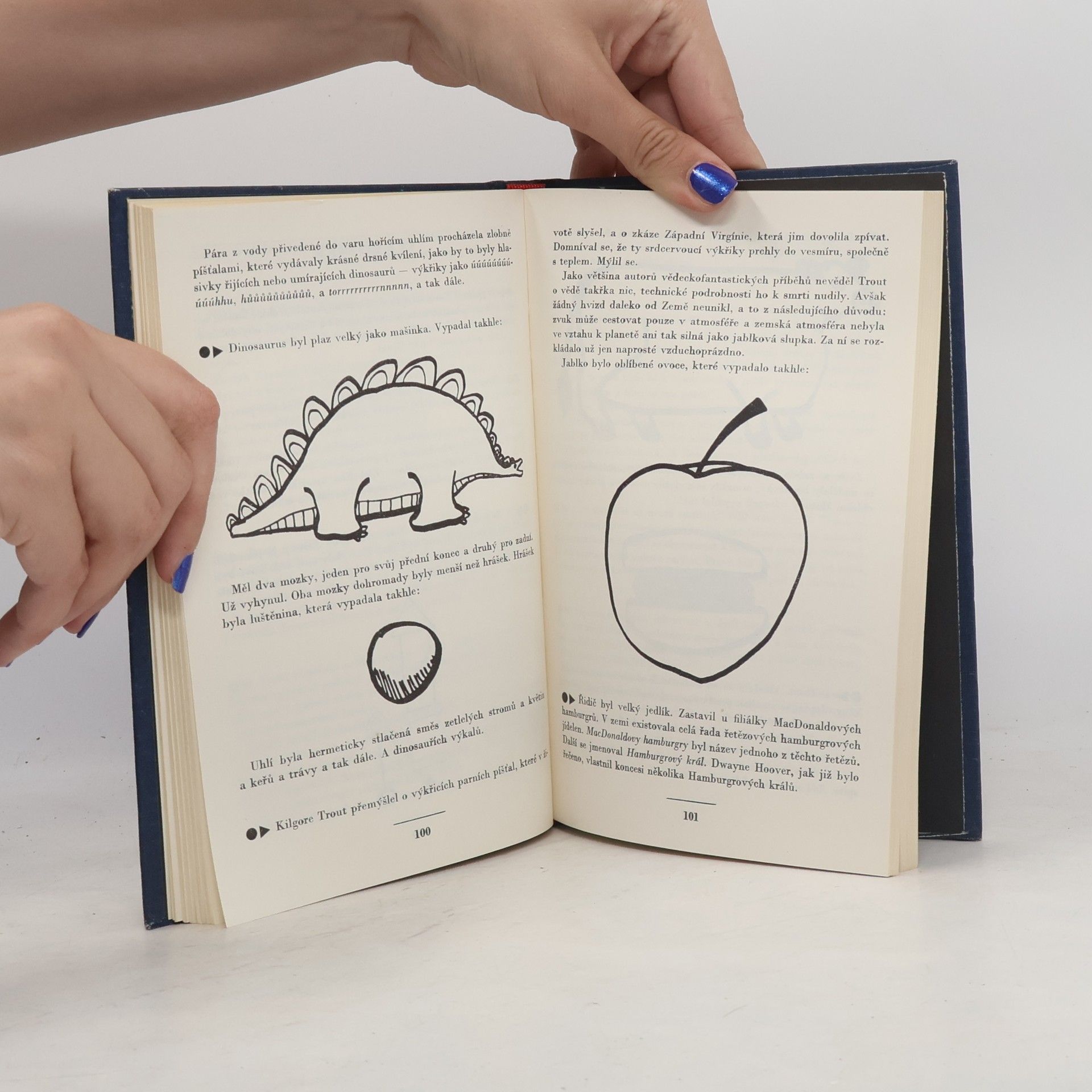 Kurt Vonnegut Snídaně šampiónů