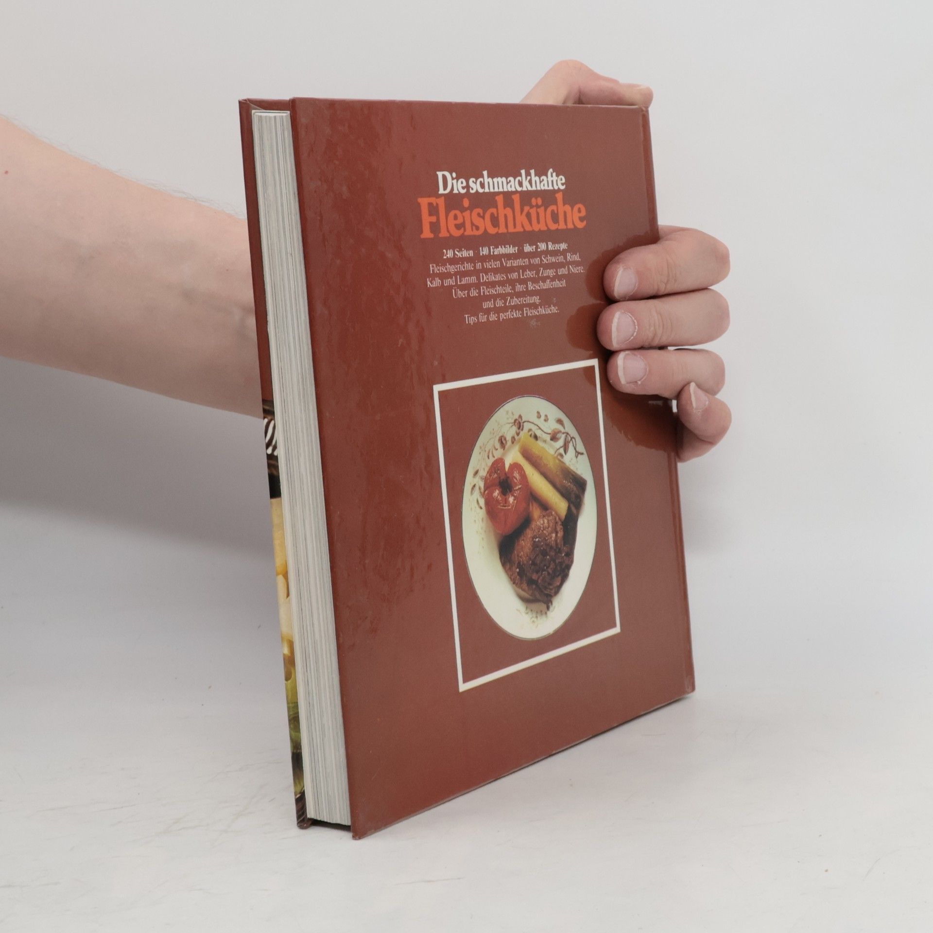 Autorenkollektiv Die schmackhafte Fleischküche