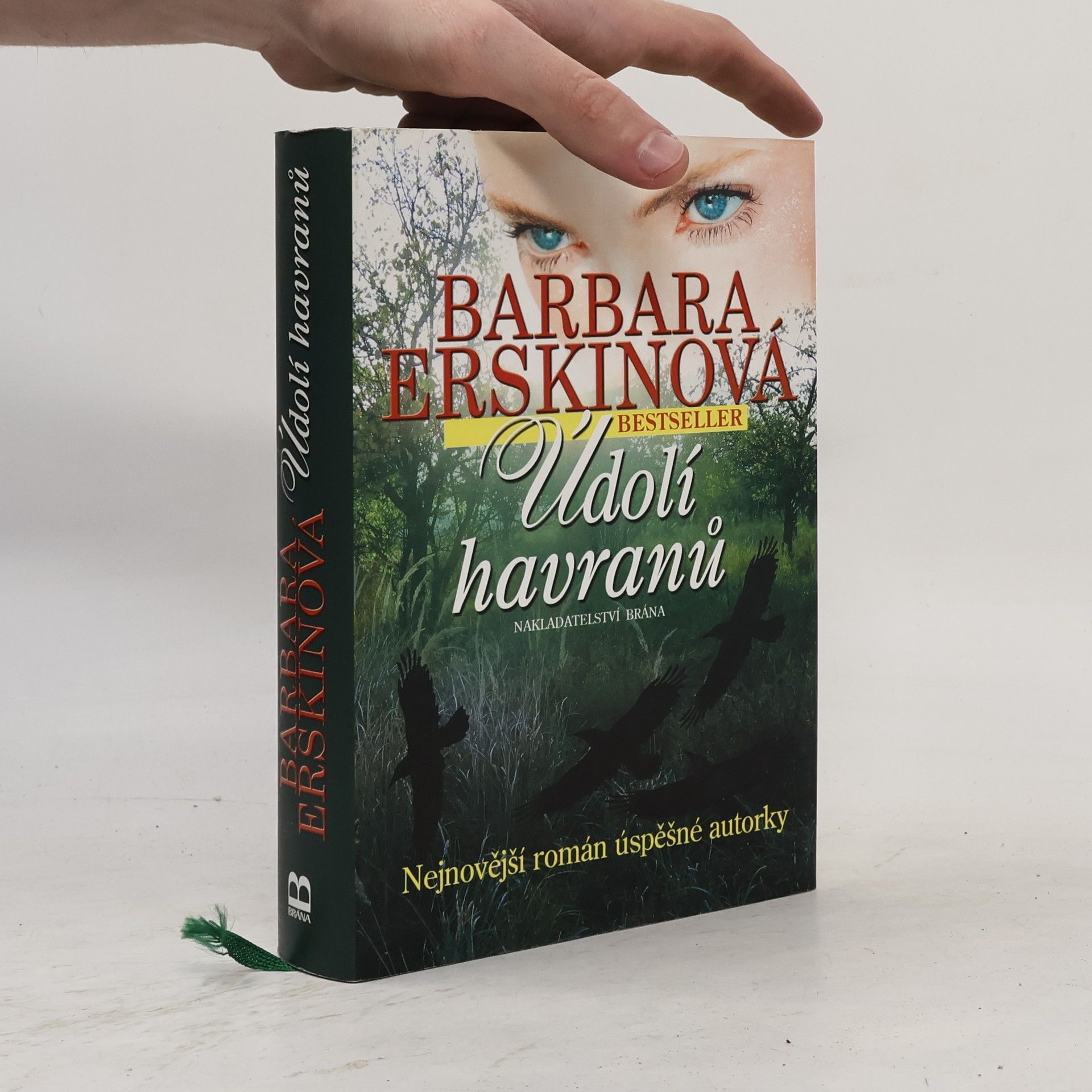 Barbara Erskine Údolí havranů